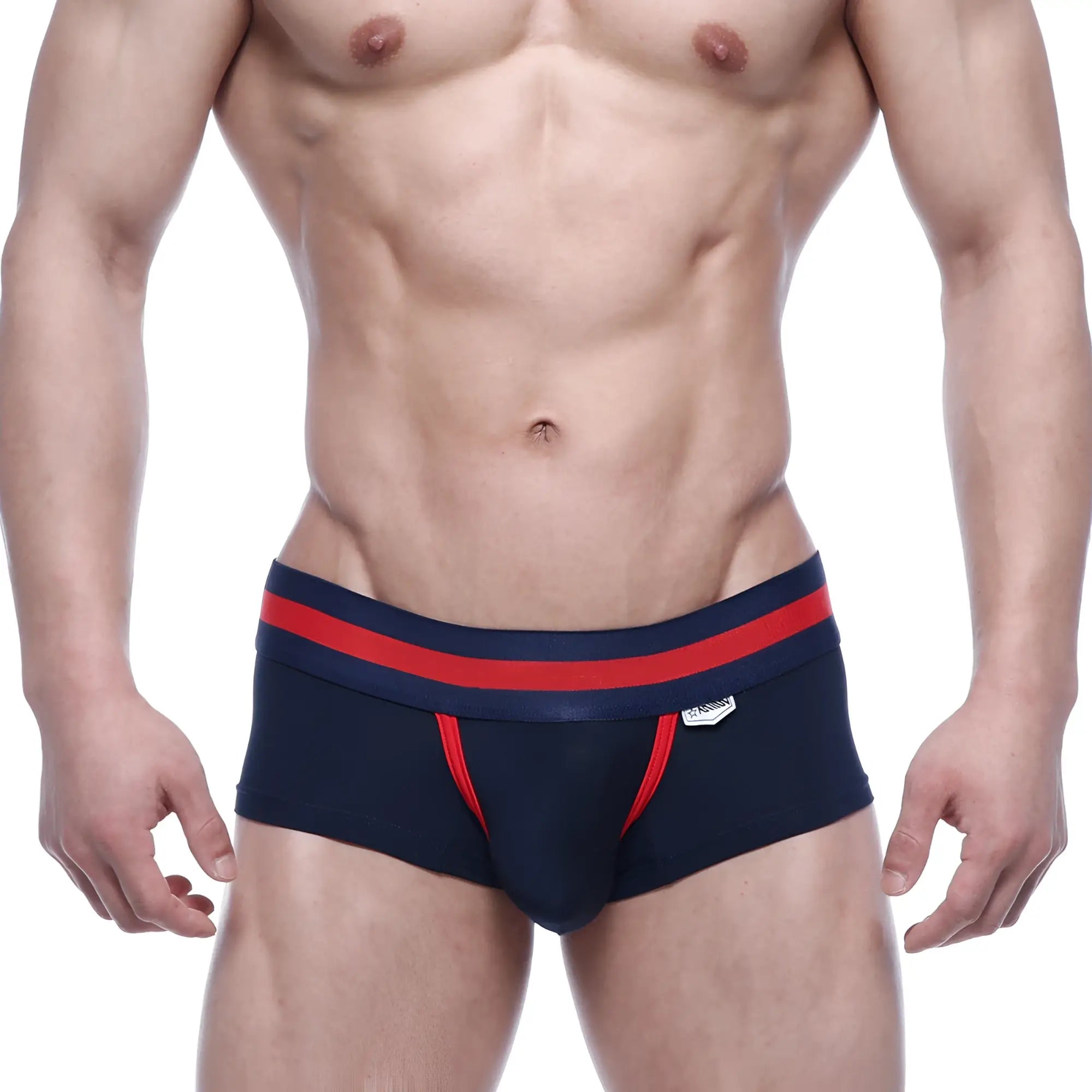 Metro male wear micro mini boxer briefs in navy blue with red trim and white logo on waistband front view