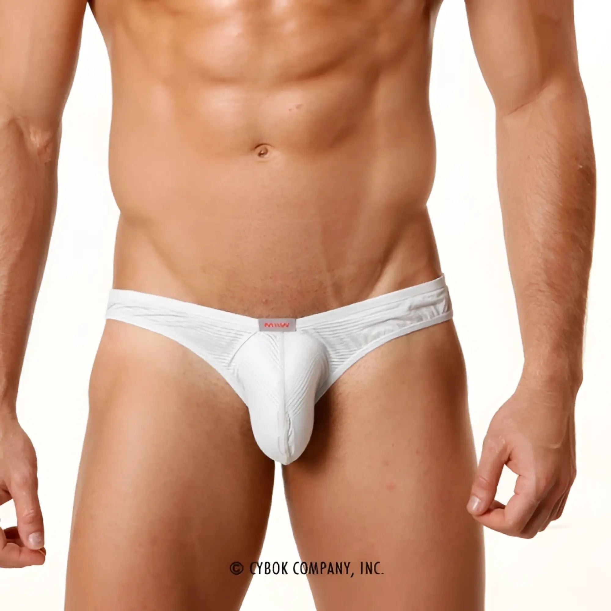 MetroMalewear perfect scene askin bikini grey briefs in white textured fabric with subtle stripes and red brand tag