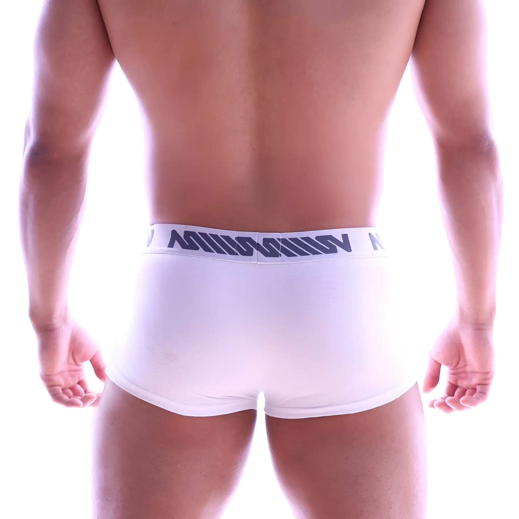 White men’s briefs with a navy blue logo band from metromalewear perfect scene hip trunk 1013-02