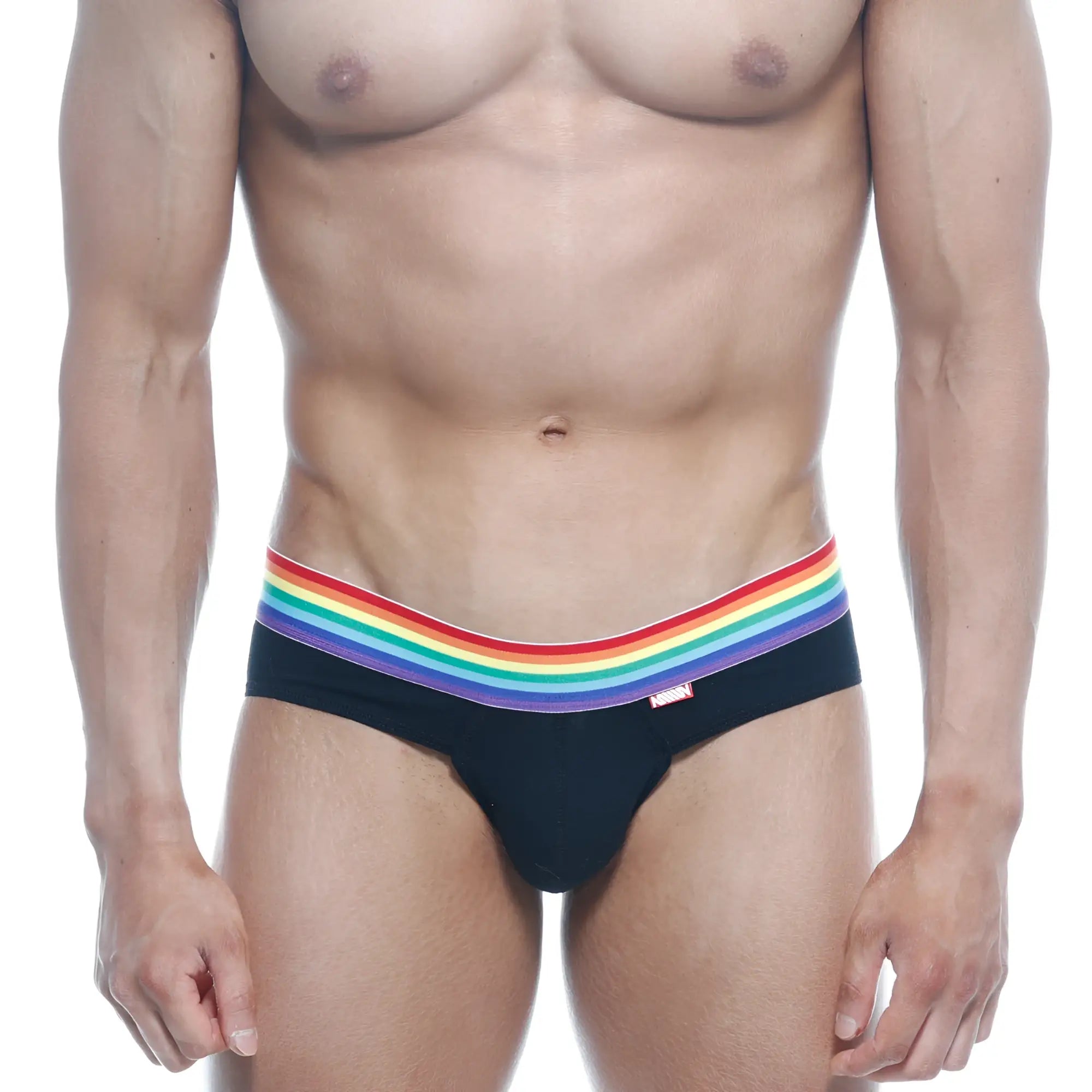 Black briefs with vibrant rainbow-striped waistband metro male wear pride brief black 5006-r20