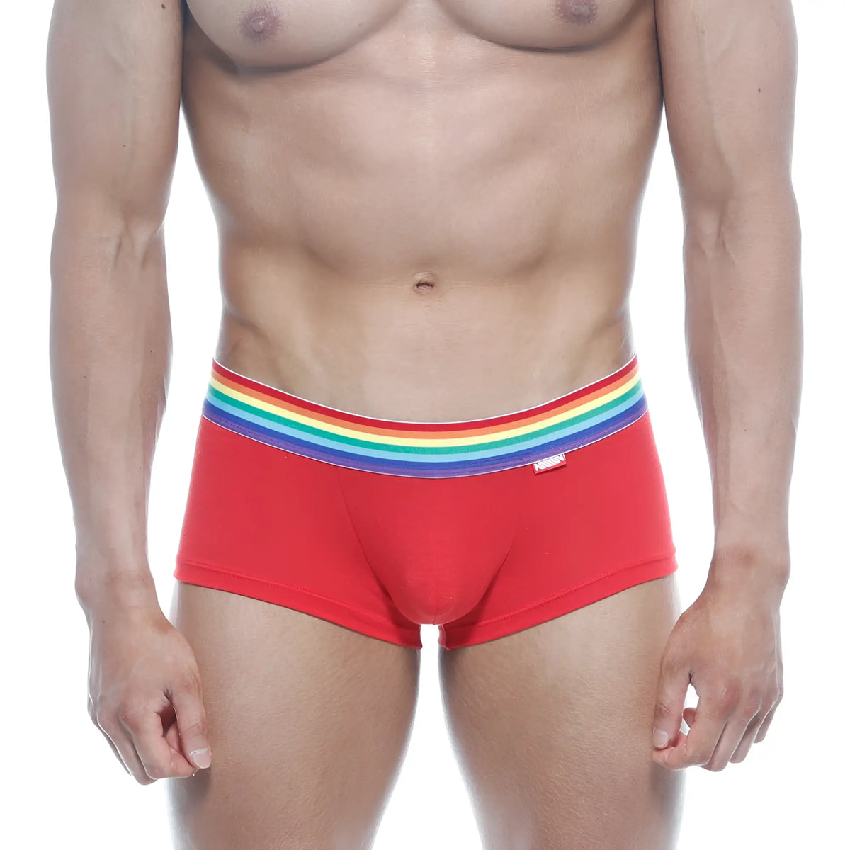 Red briefs with a rainbow-striped elastic waistband from metromalewear pride trunk 2026-r12 for comfortable daily wear