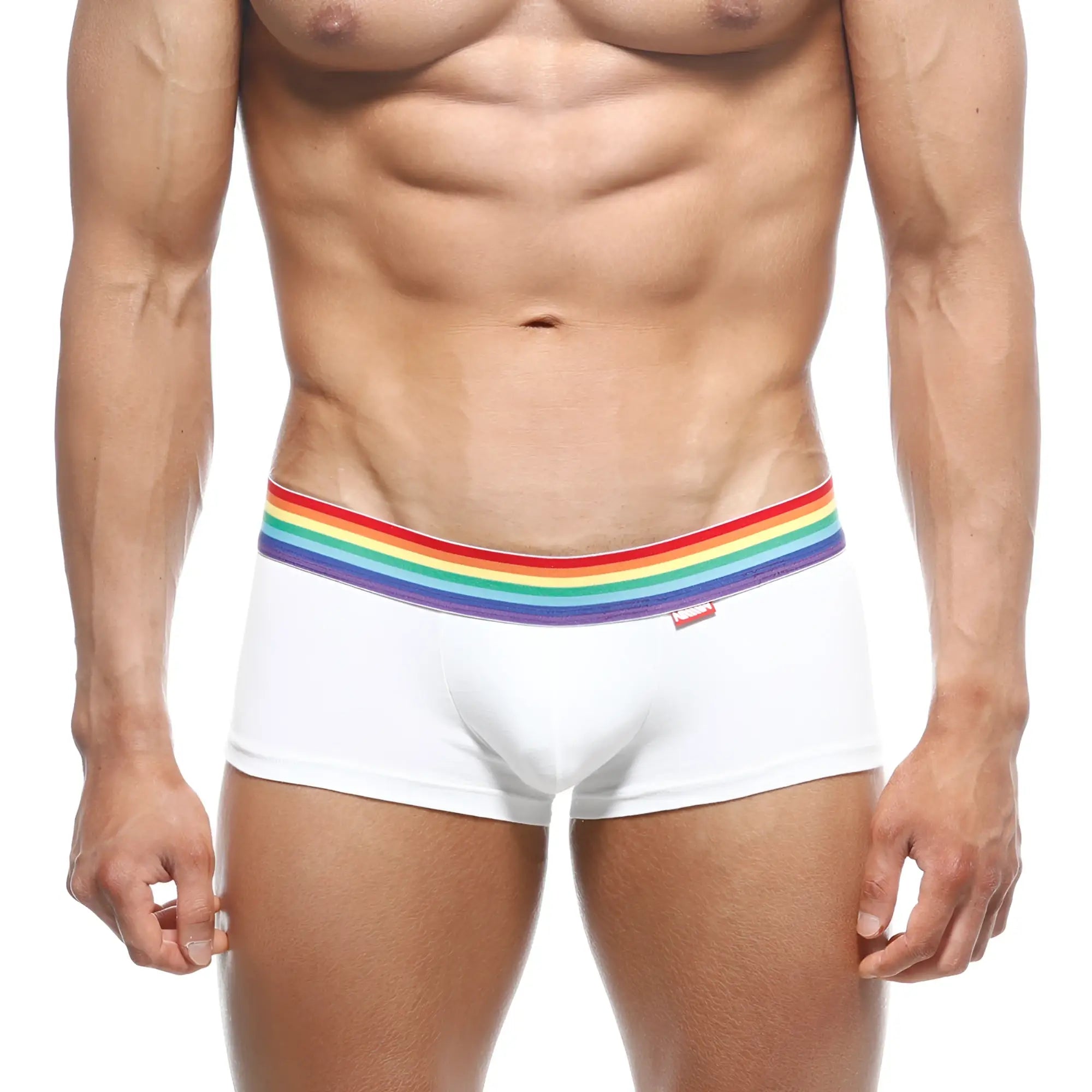 White briefs with a rainbow-striped elastic waistband from MetroMaleWear pride trunk 2026-R00 collection