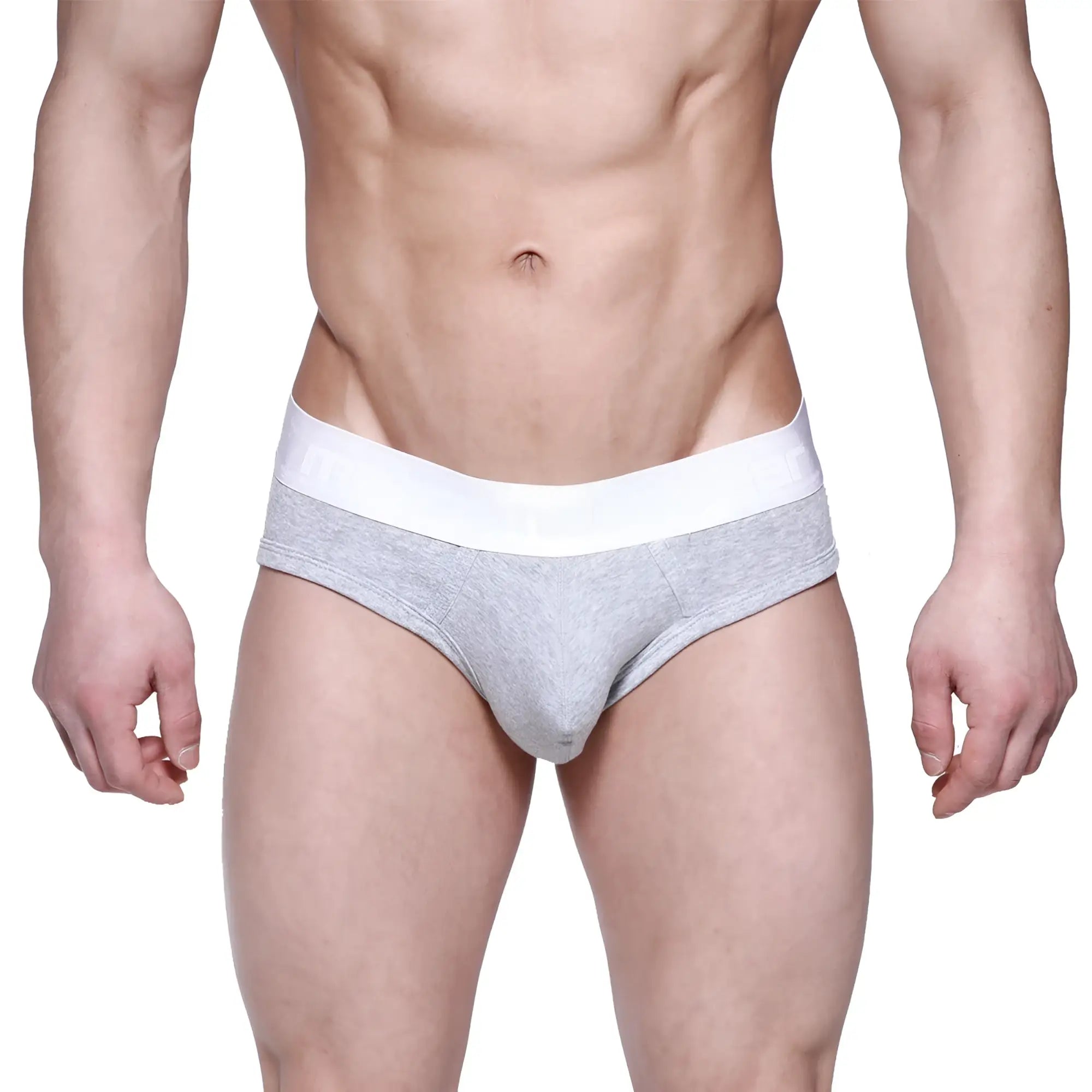 Gray heathered briefs with a solid white waistband from metromalewear profile hip brief gray 1303-10