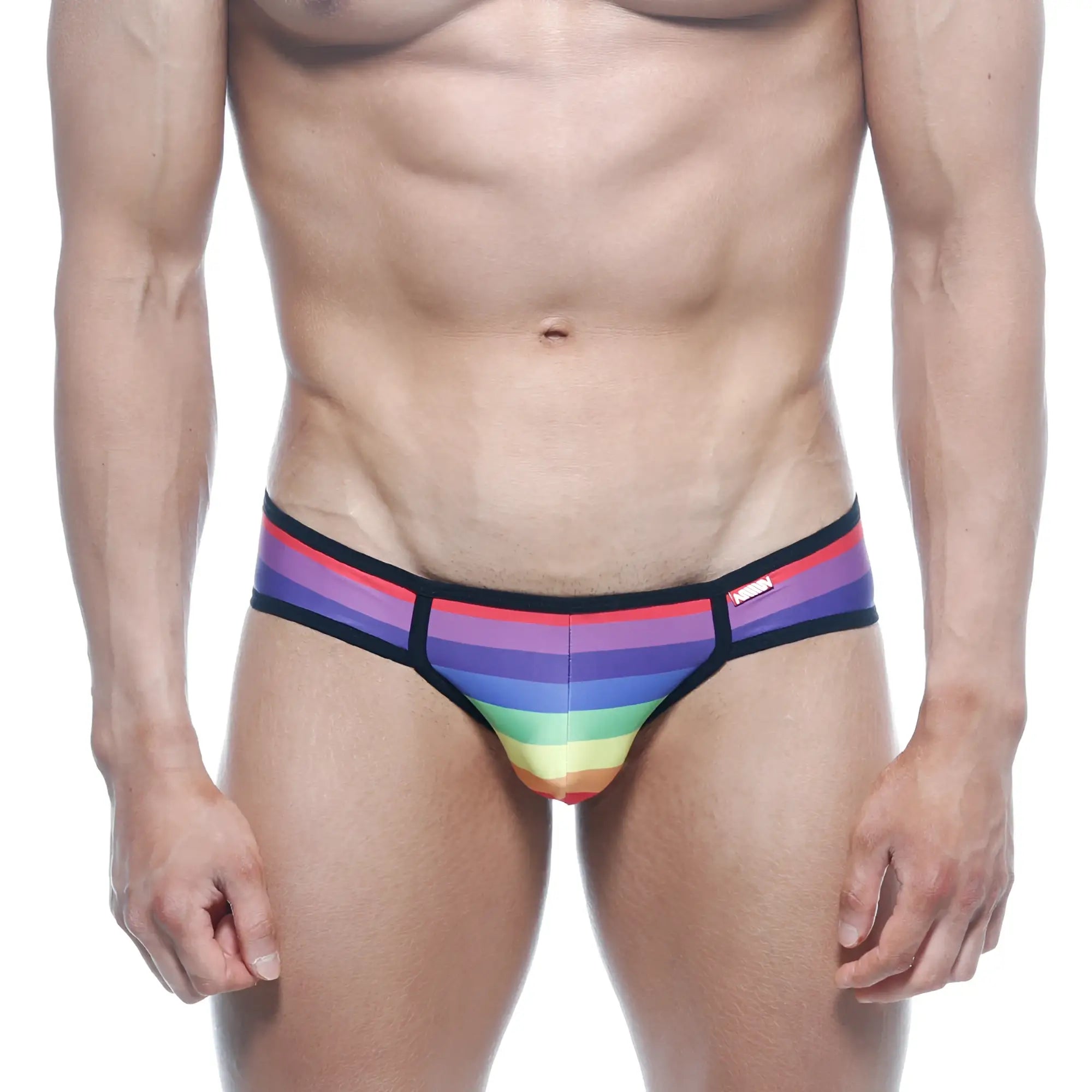 Rainbow-striped MetroMaleWear bikini briefs with black trim and a small red brand tag for men