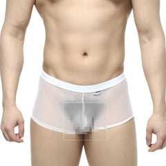 MetroMaleWear simple trunk white 1033-00 white mesh briefs with solid white waistband and trim front view