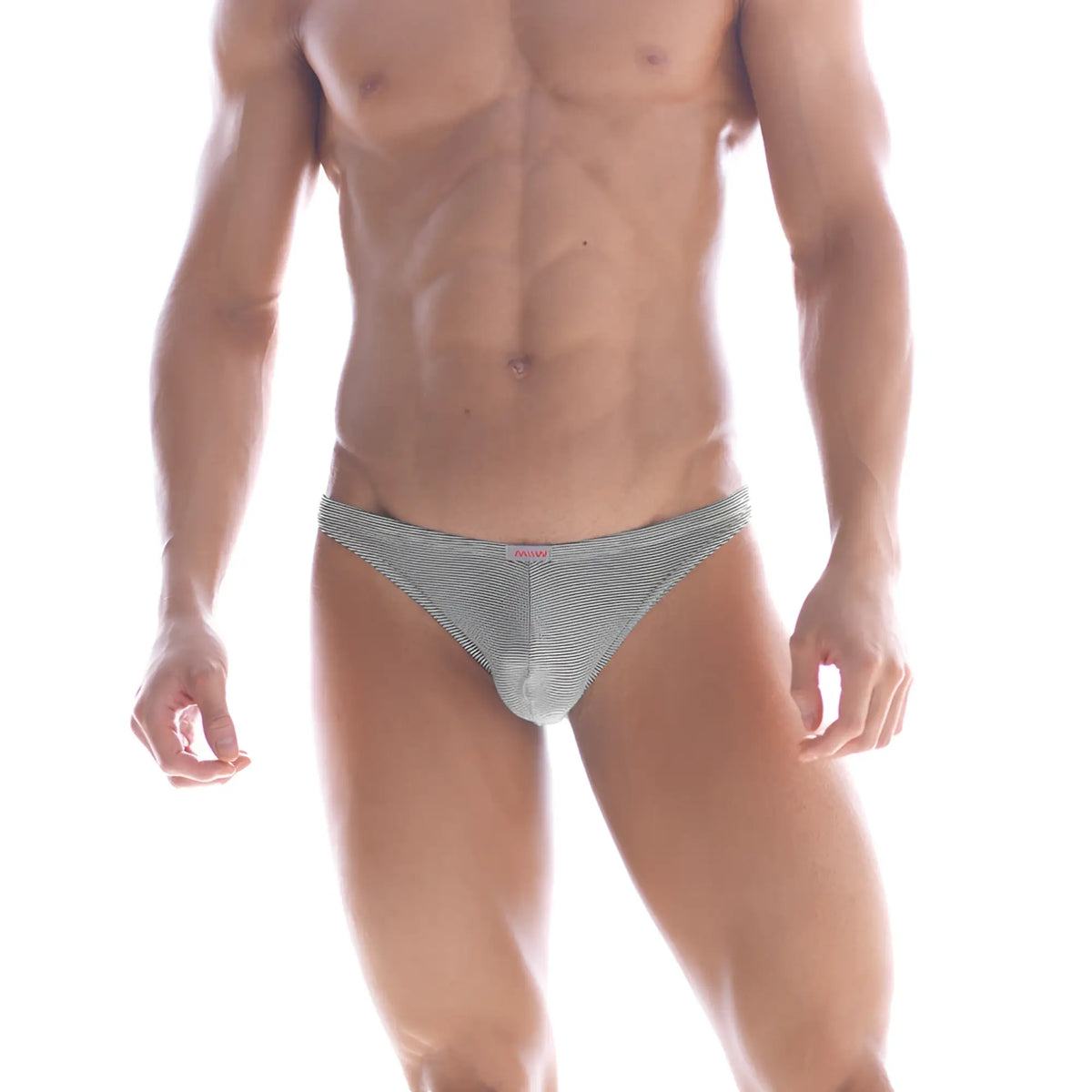 Gray and white striped men’s briefs metro male wear sunbathing bikini black stripe 2004-41 with snug fit design