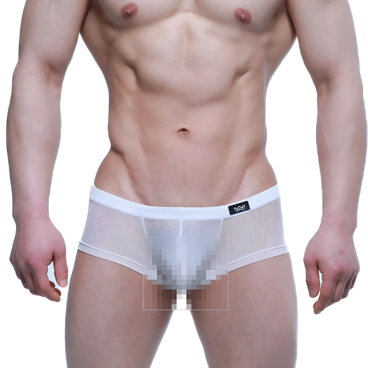MetroMaleWear Tull Blanco Trunk 2125-68 white mesh briefs with solid white waistband and small black logo left side