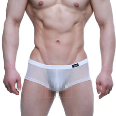 MetroMaleWear Tull Blanco Trunk 2125-68 white mesh briefs with solid white waistband and small black logo left side