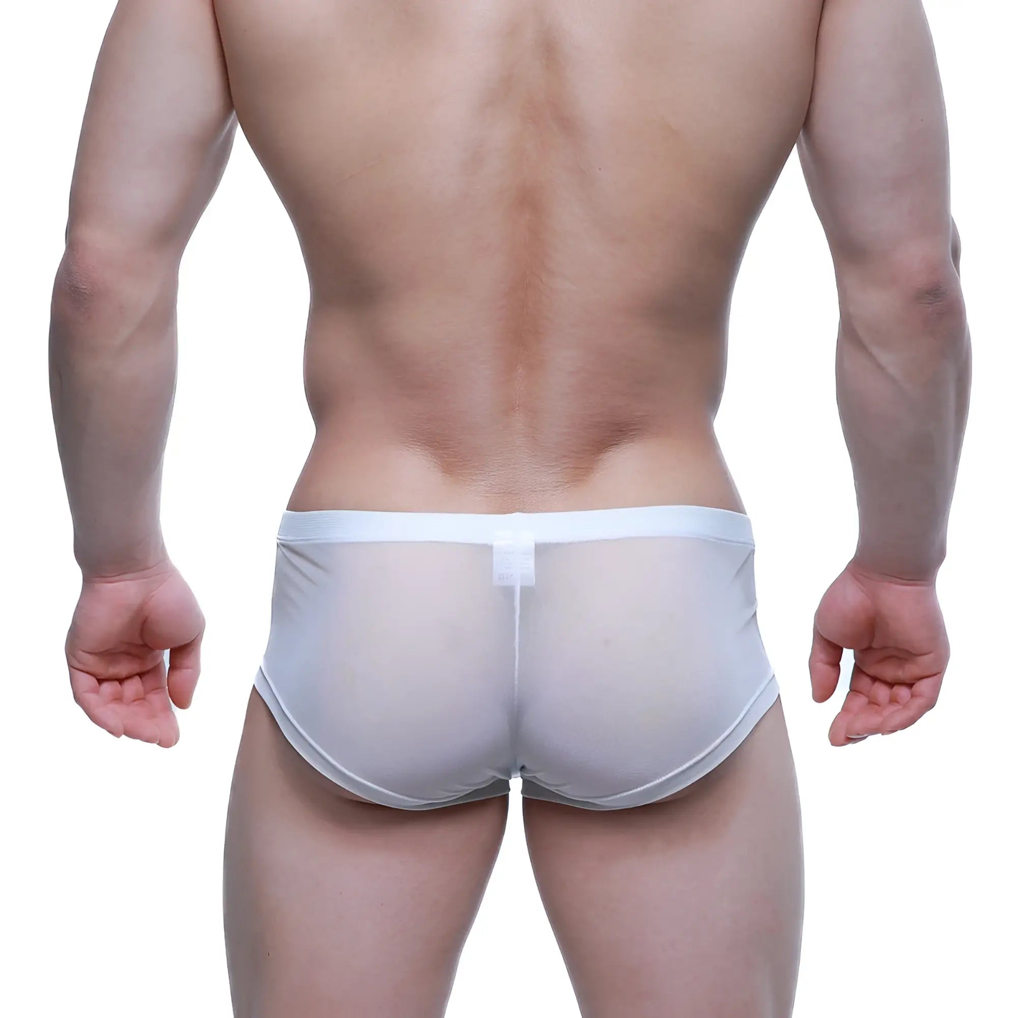 MetroMaleWear tull blanco trunk 2125-68 white sheer mesh briefs with solid white waistband front view