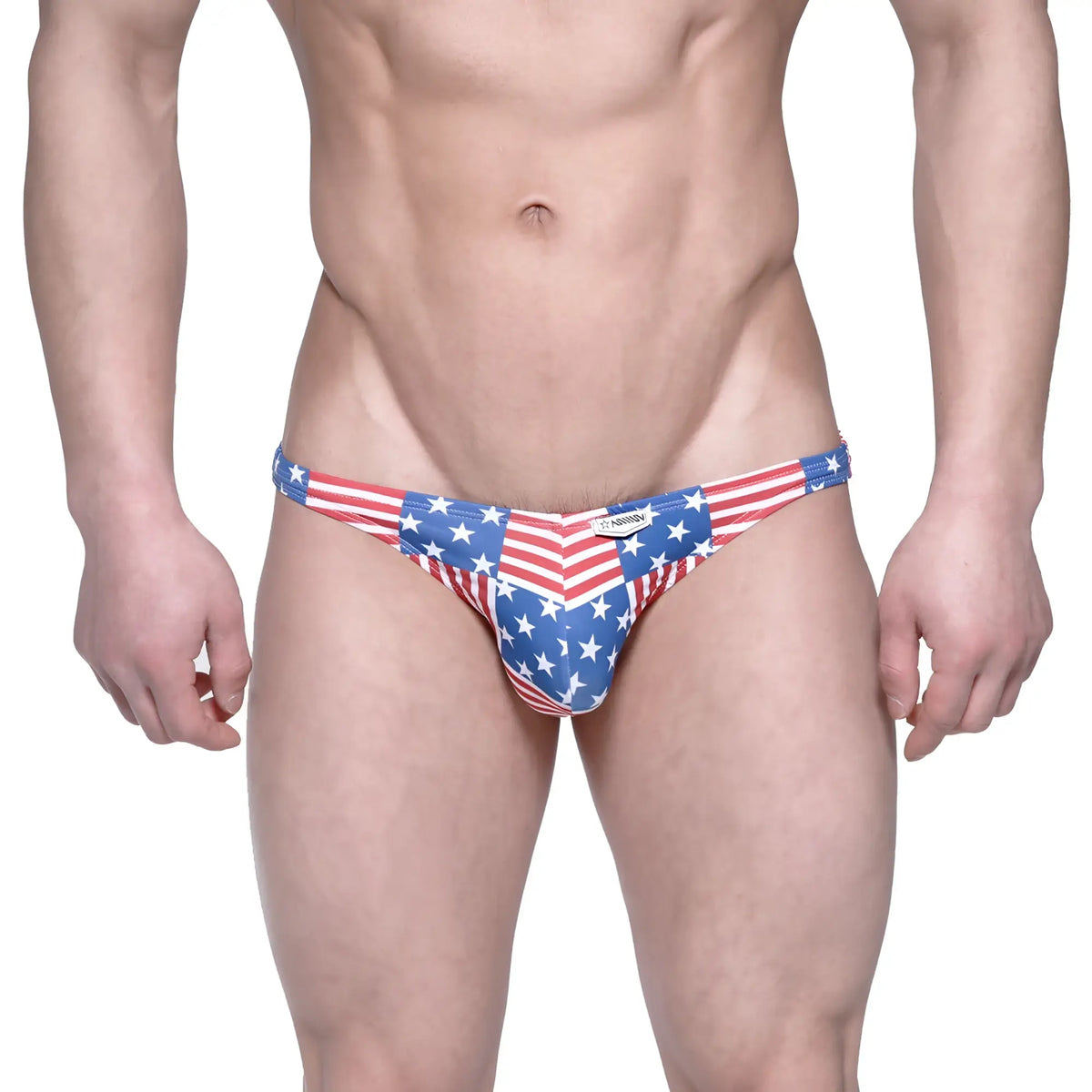 MetroMaleWear USA hip bikini blue 6003-91 red white and blue briefs with bold star and stripe pattern in cotton blend