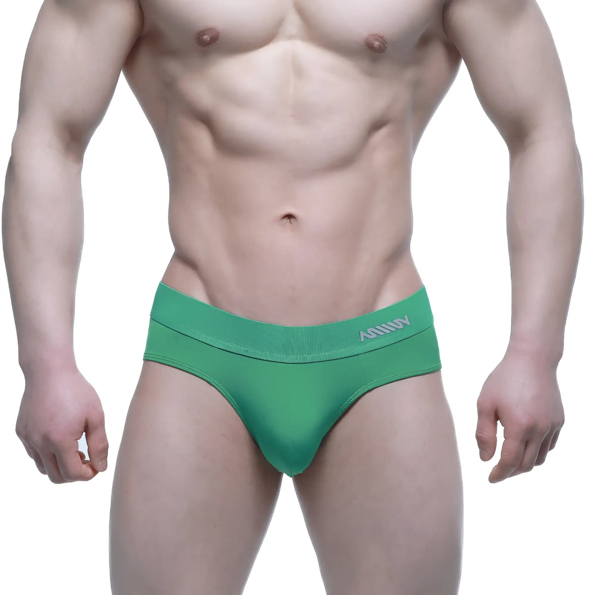Green mens briefs metro malewear verde brief 5203-07 with textured waistband and milly branding in white lettering