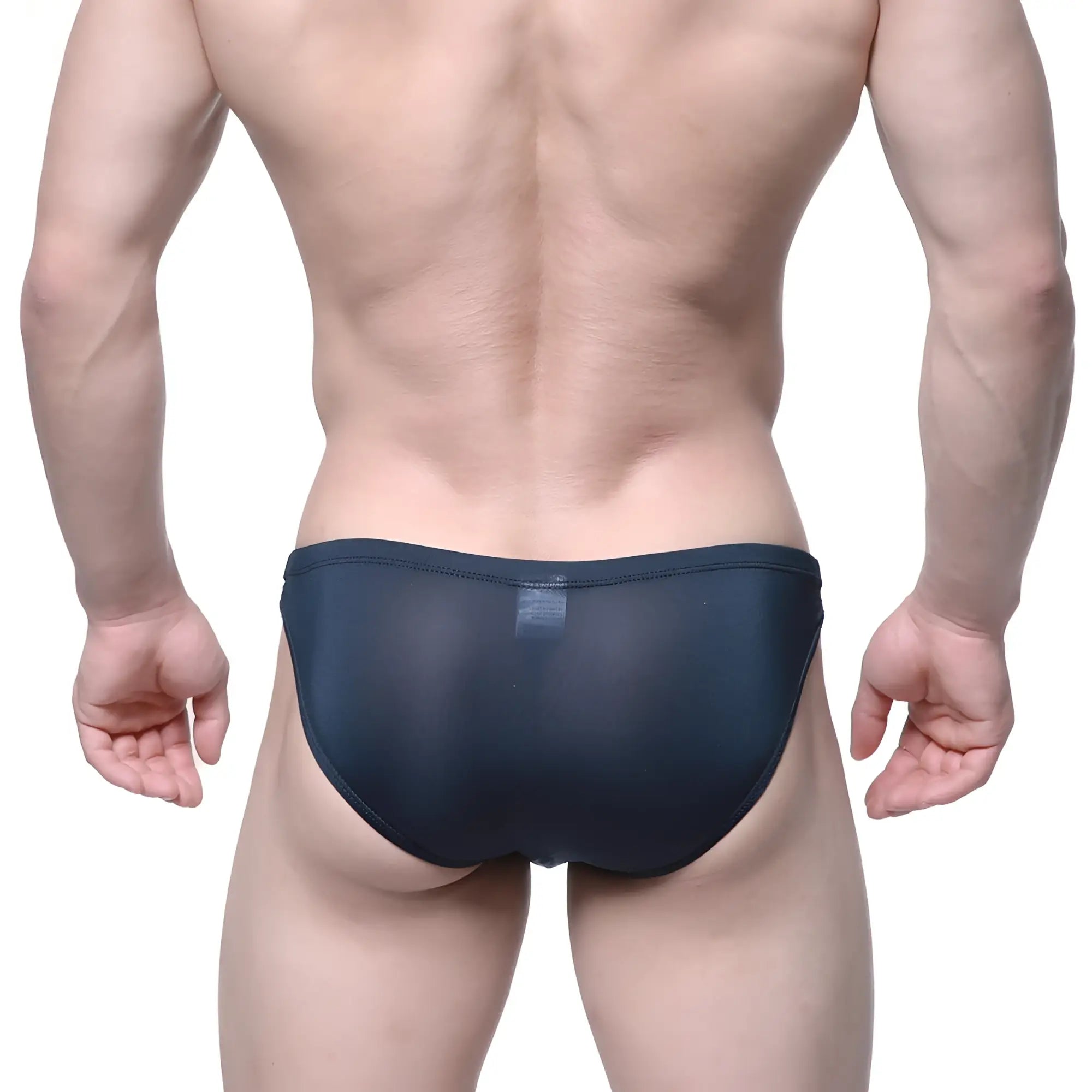 Dark navy sheer mesh briefs for men by metromalewear veus bikini 3603-19 showing front view