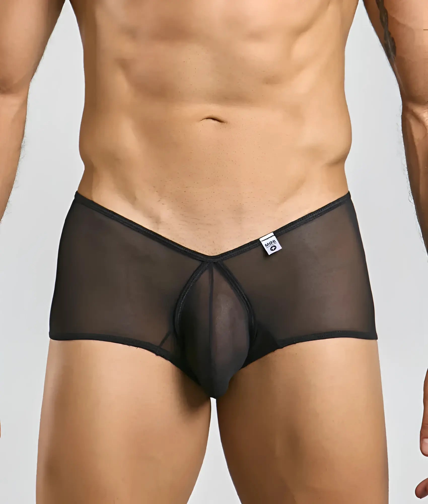 Black sheer mesh briefs with a solid black waistband and front panel from mob loop cheeky trunk collection