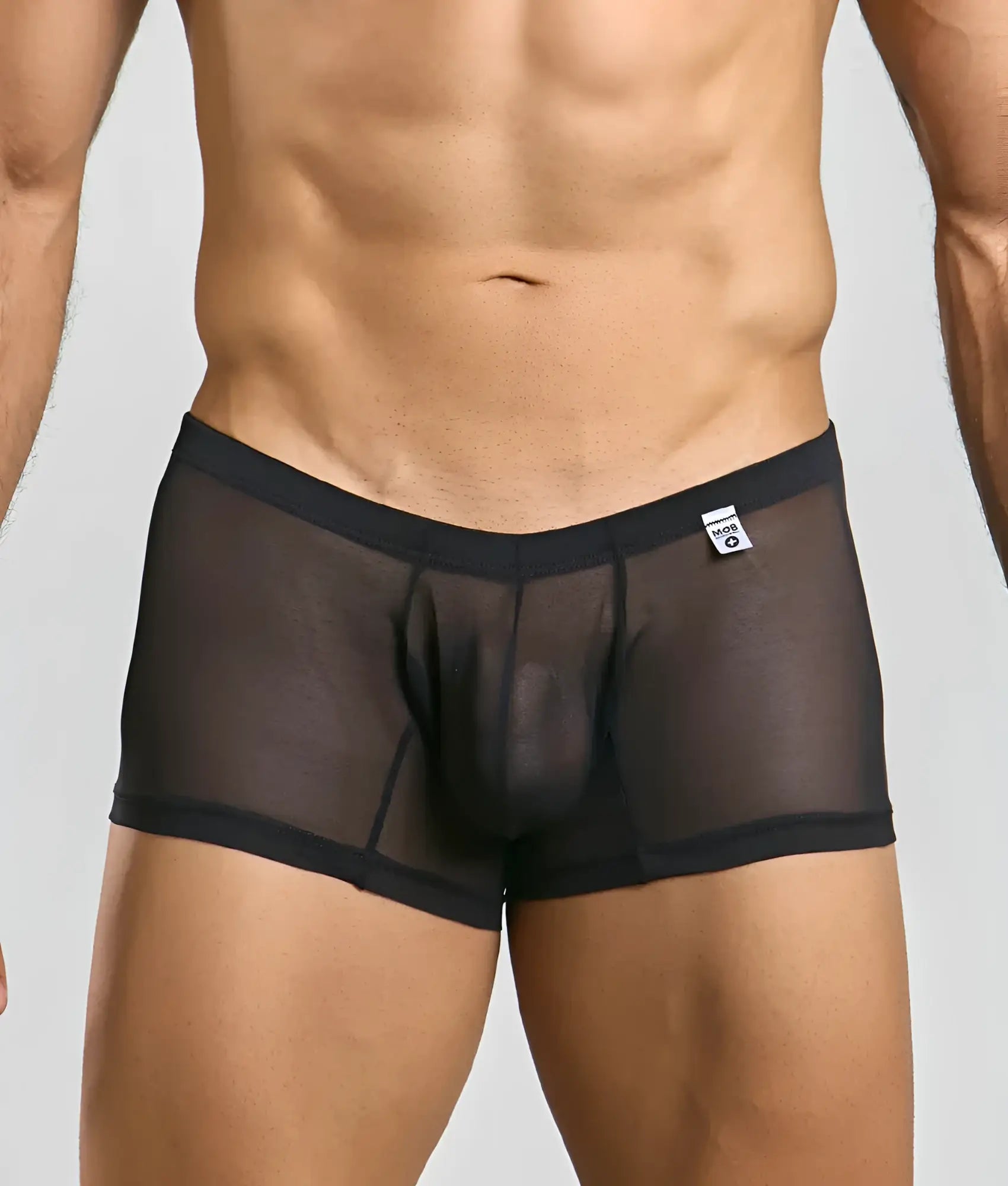 Mob men’s lace boxer black sheer mesh briefs with solid black waistband and trim front side view