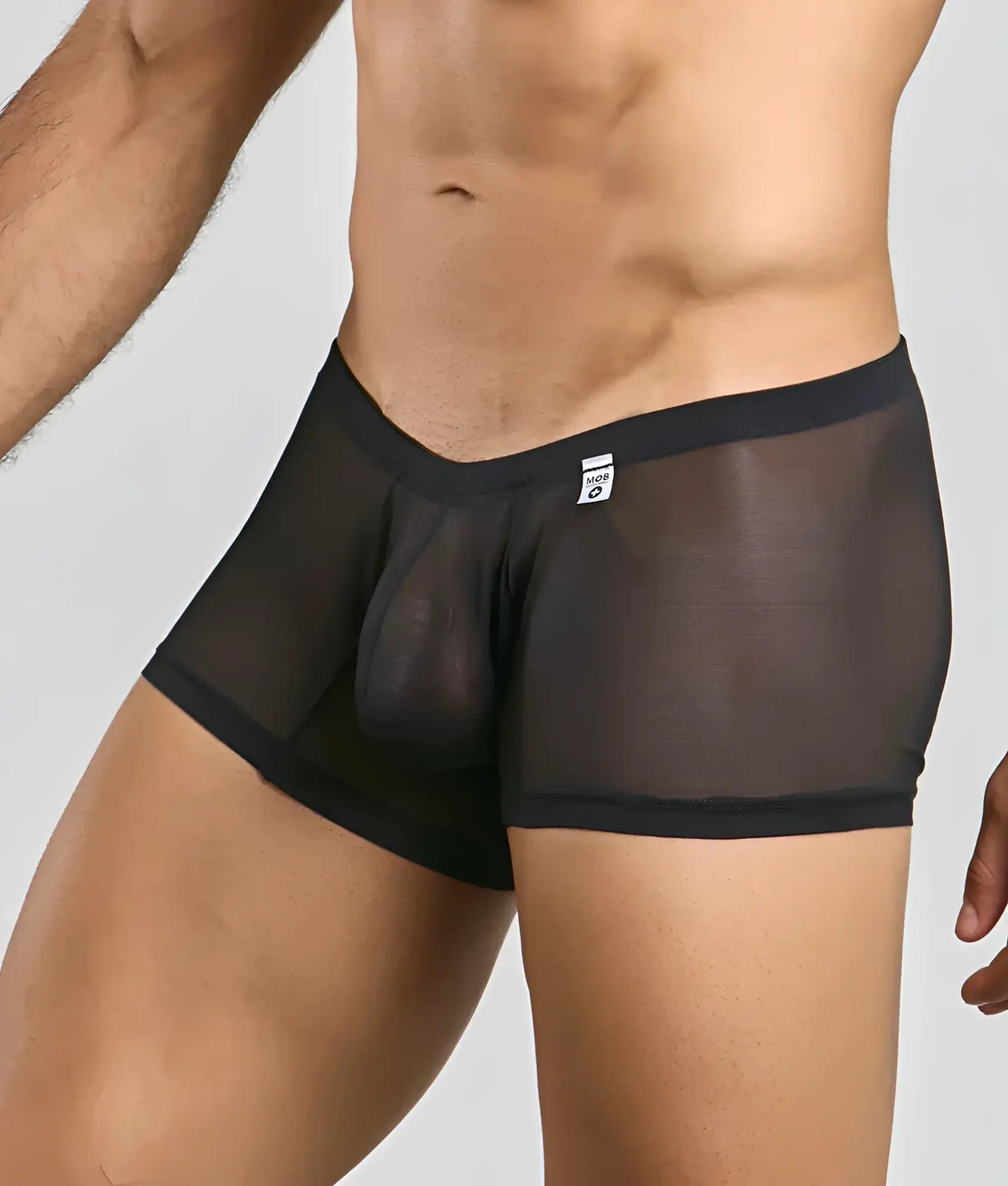 Black sheer mesh briefs with solid waistband and leg openings from mob men lace boxer product line