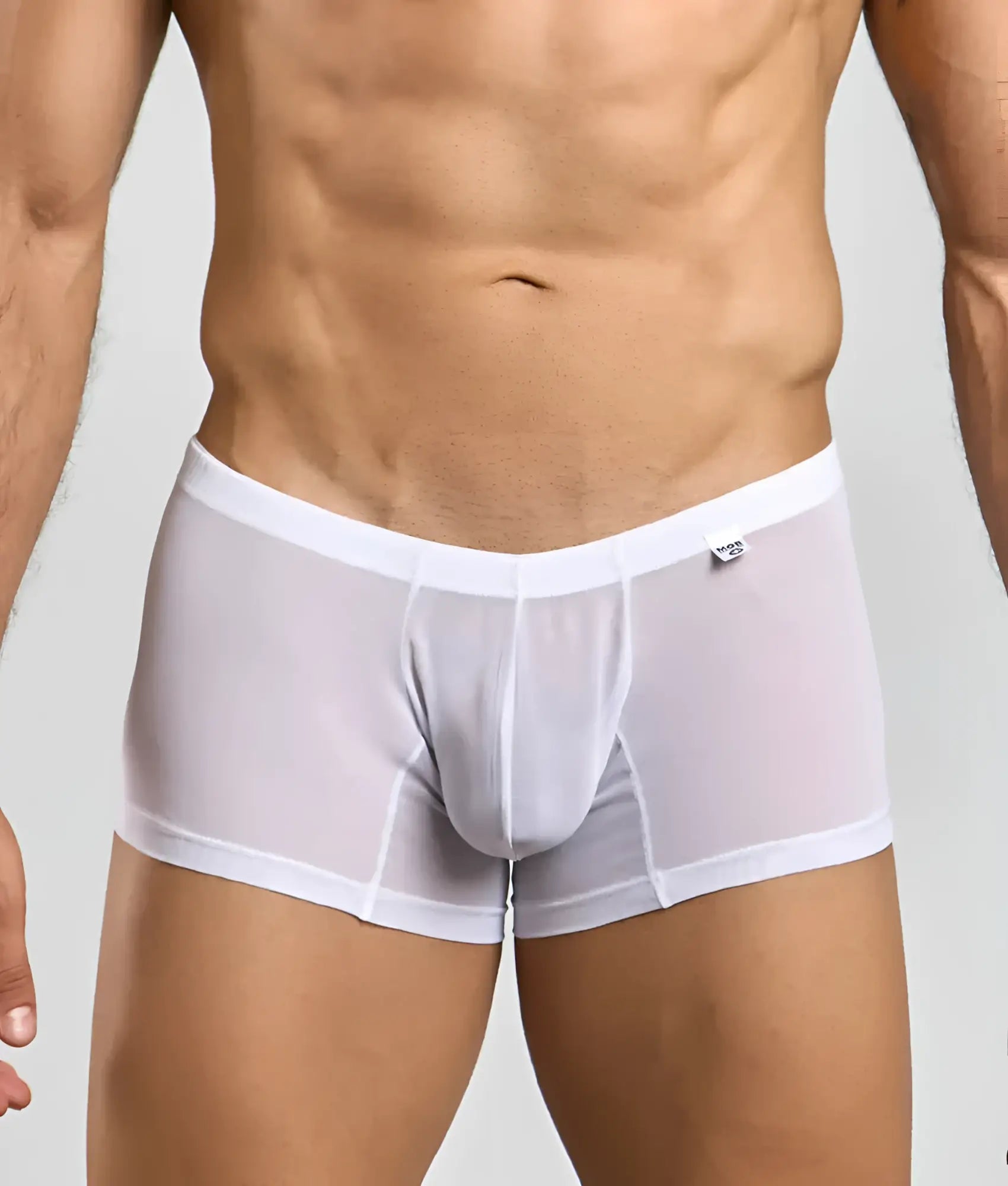 Mob men’s lace boxer white sheer mesh briefs with solid waistband and subtle stitching details