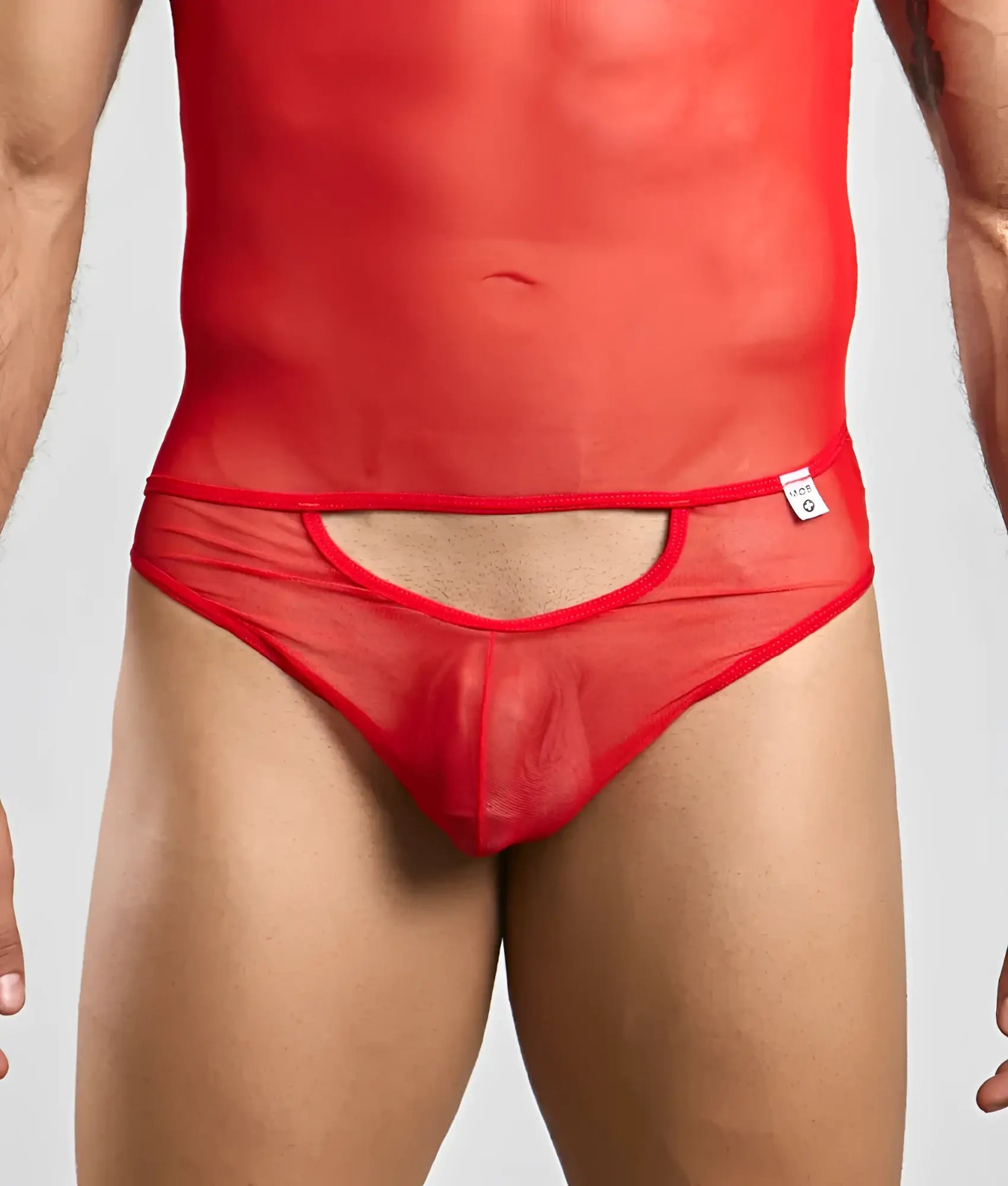 Mob men’s sexy all over sheer body red sheer mesh briefs with cutout design and red trim