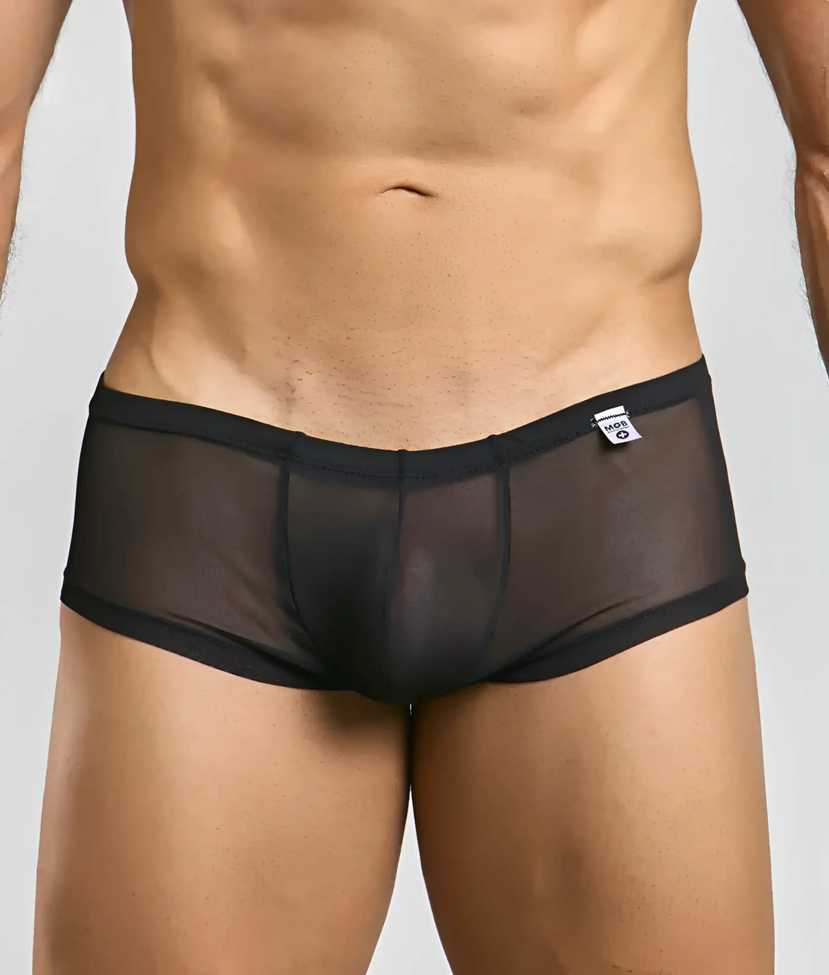 Mob mens sexy sheer hip brief black mesh briefs with solid waistband and trim front view