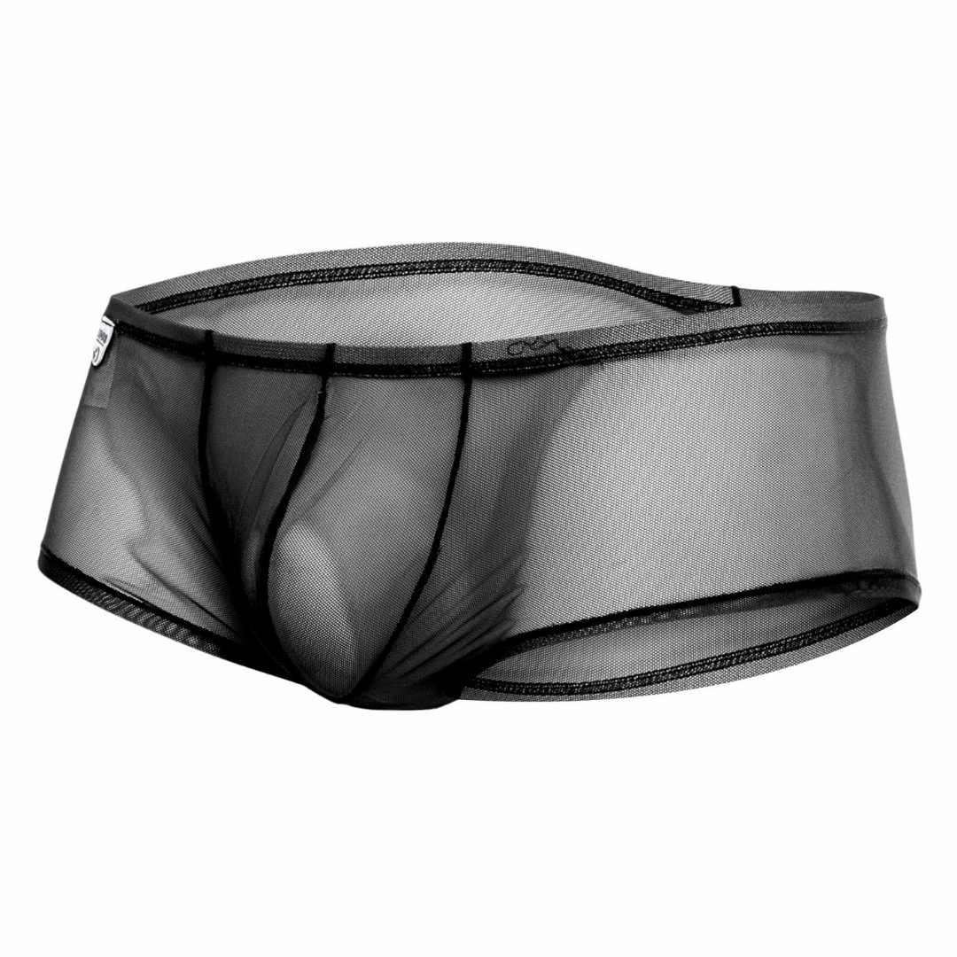 Mob men’s sexy sheer hip brief black sheer mesh underwear with black elastic trim front view