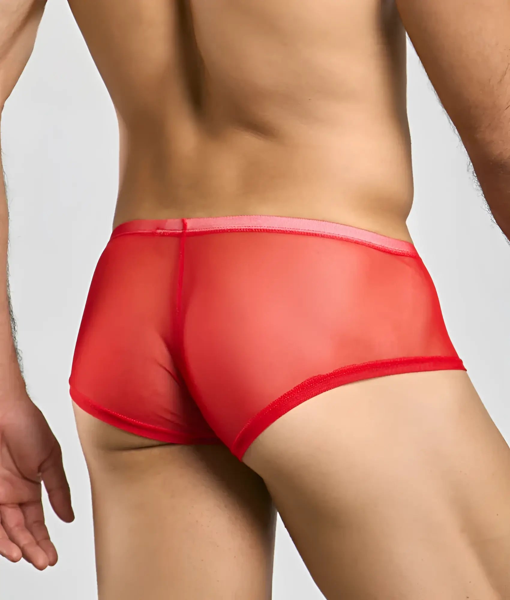 Mob men’s sexy sheer hip brief in red sheer mesh with a pink waistband showing front view
