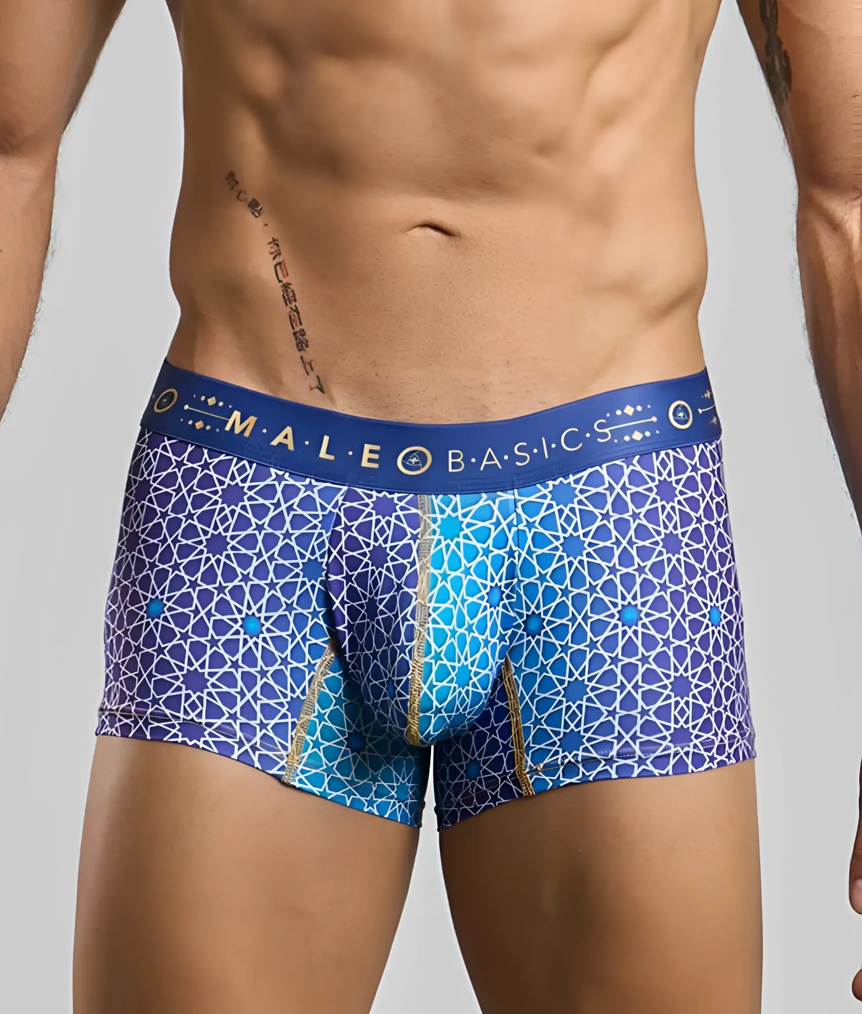 New malebasics trunk hipster men’s boxer briefs with blue and purple geometric pattern and male basic waistband