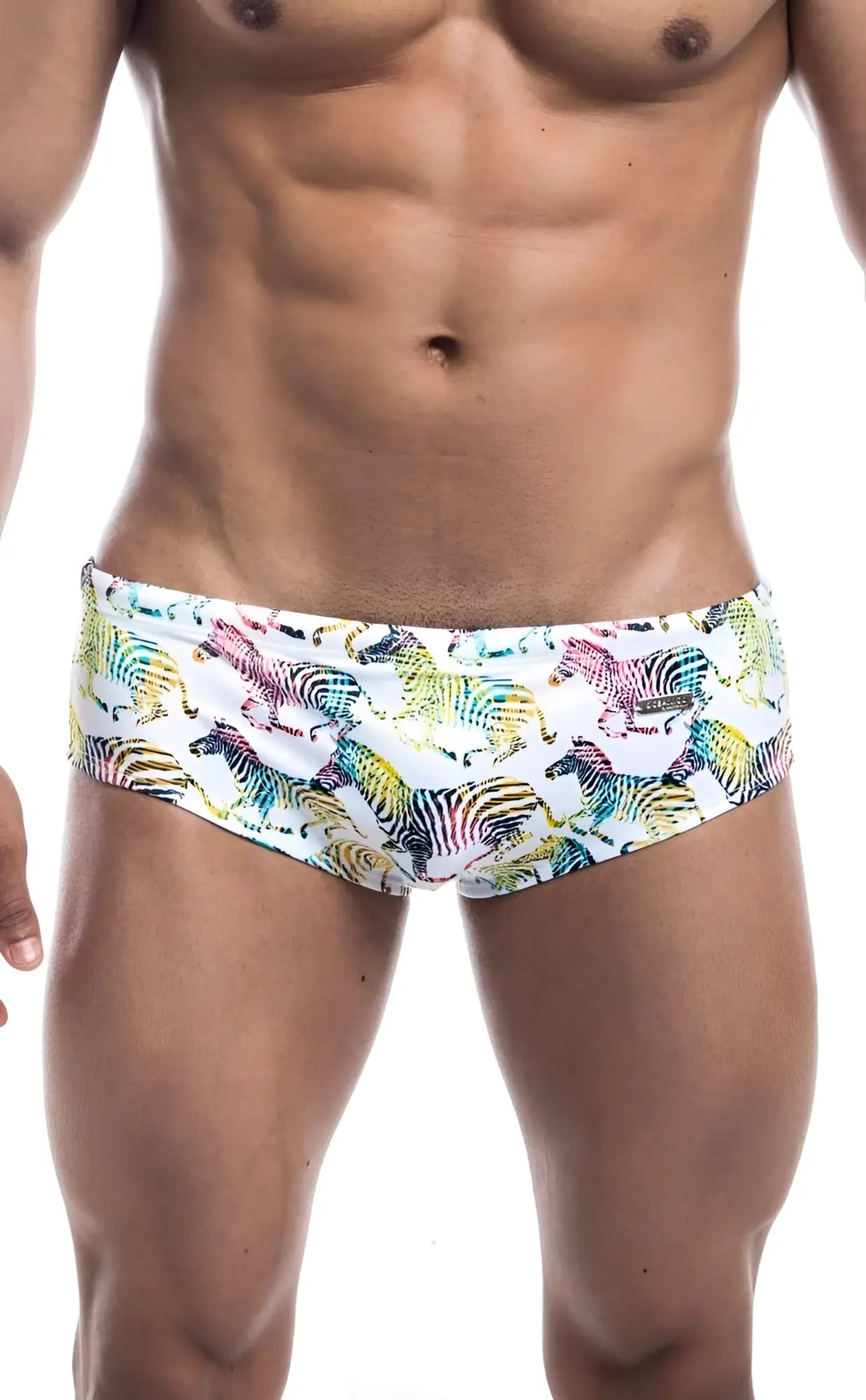 Oceanico swim brief in vibrant rainbow zebra pattern on white base designed for stylish swimwear use