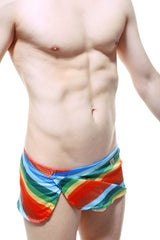 PetitQ loincloth brief rainbow mesh swim trunks with vibrant diagonal rainbow stripes in red orange yellow green blue purple