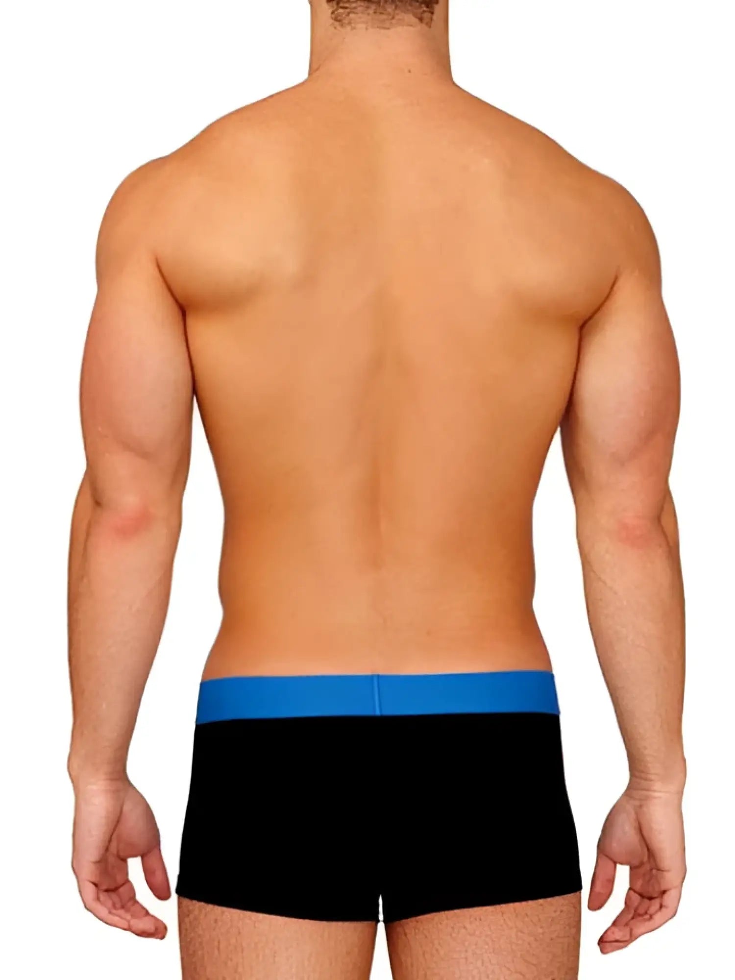 Black briefs with a solid blue waistband from Papi brazilian trunk underwear size M for comfortable daily wear