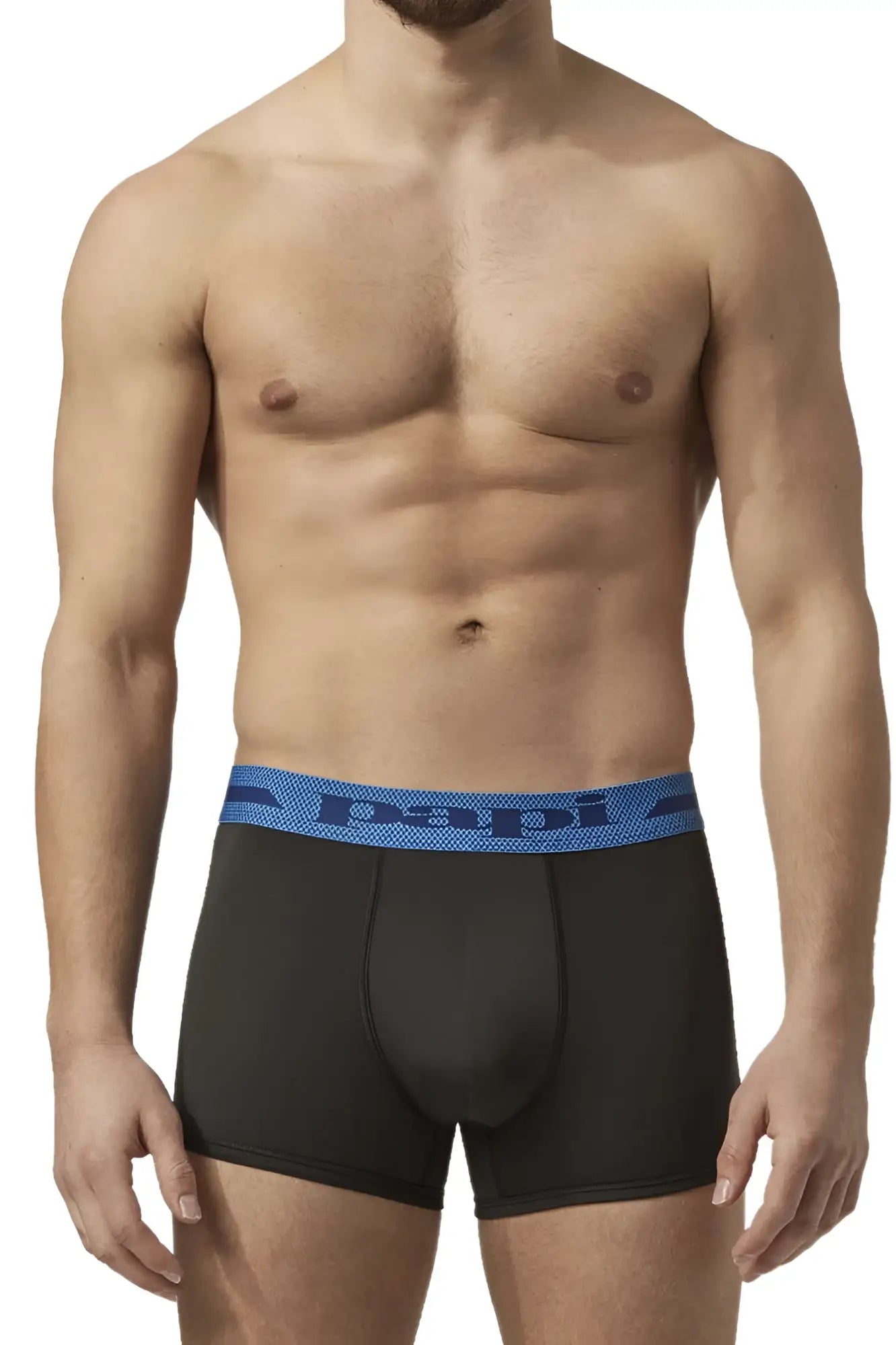 Black microflex brazilian briefs with blue elastic waistband featuring papi logo in color alloy black