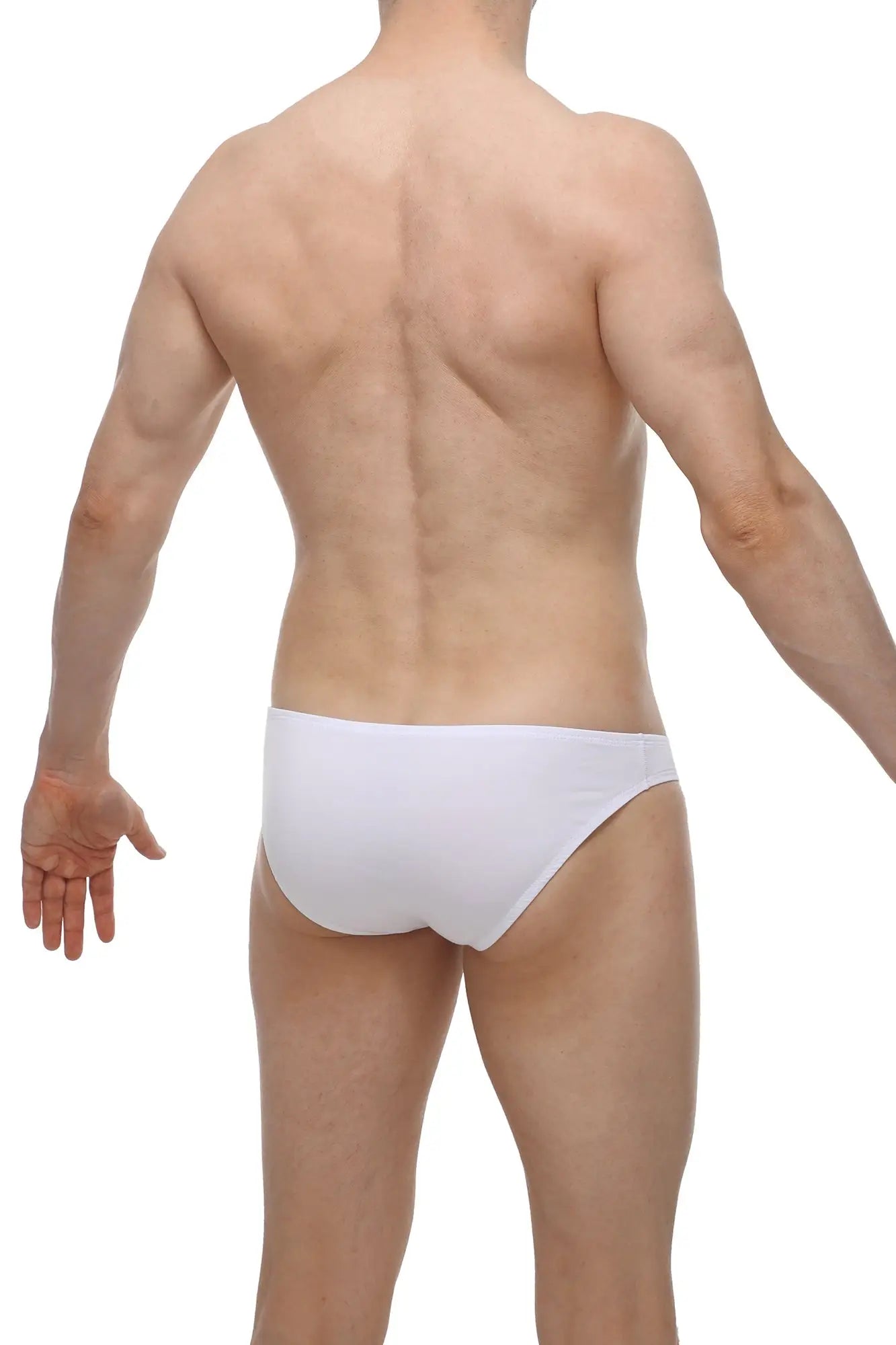 White briefs petitq bikini colline modal white with smooth form-fitting design in breathable modal fabric