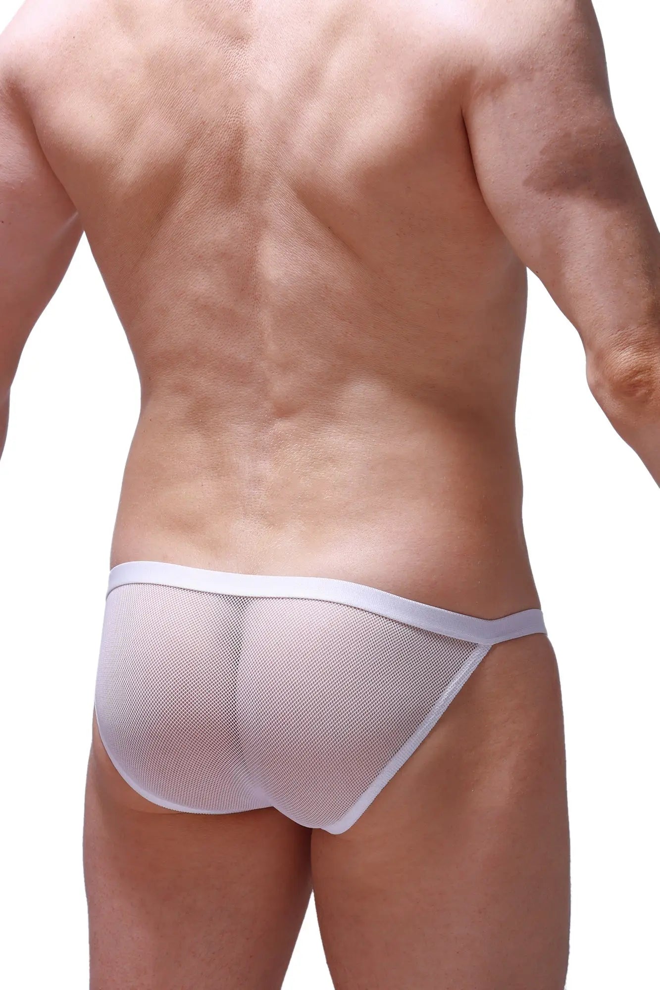 PetitQ bikini ladon mesh white white mesh briefs with solid white waistband front view