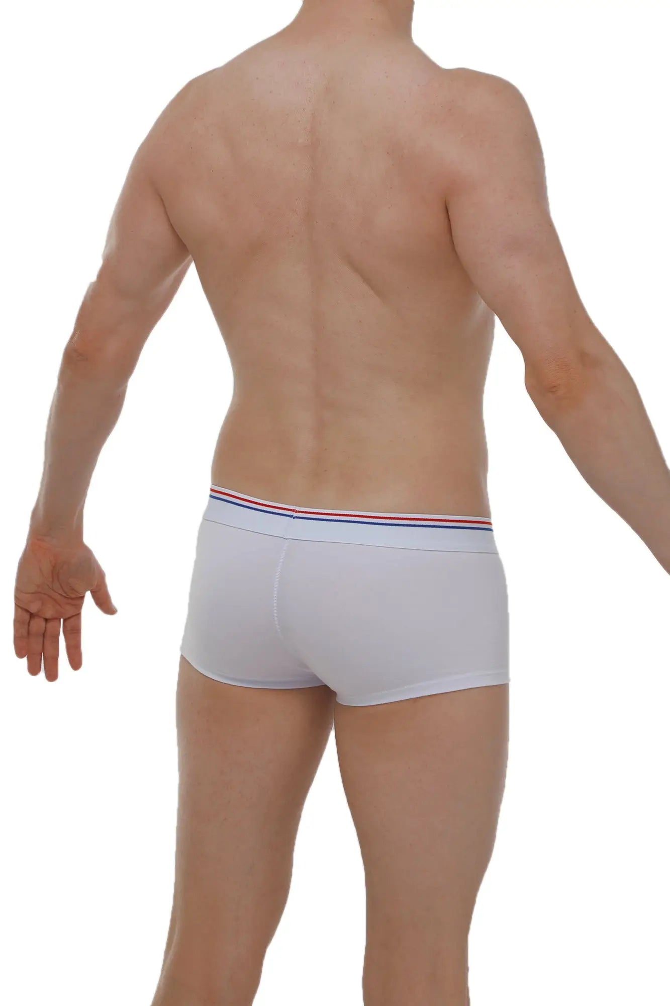 White briefs petitq boxer linay modal white with red white and blue striped waistband made of modal fabric