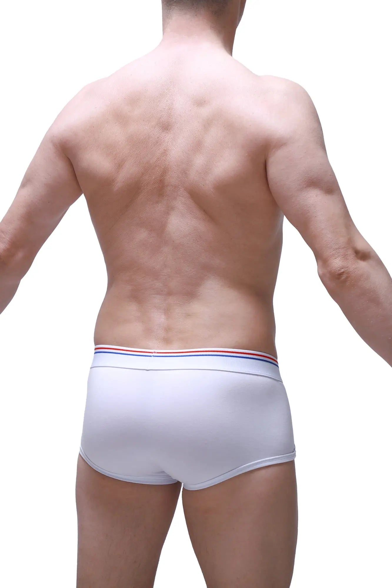 White briefs PetitQ Boxer Morrier white with red white and blue striped waistband for comfortable everyday wear