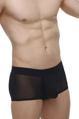 Black sheer mesh briefs with solid black waistband from PetitQ boxer oncieux black showing front view