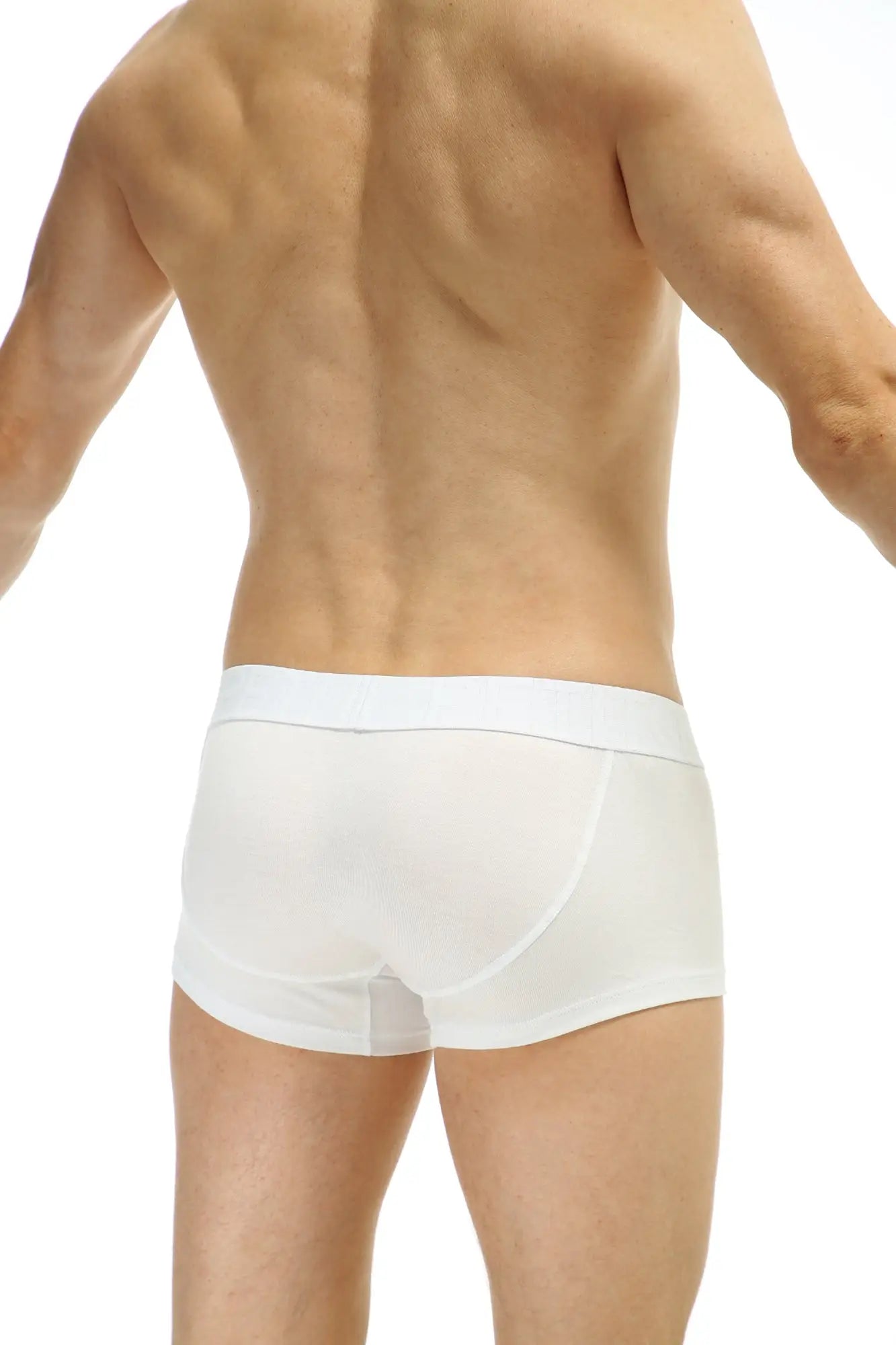 White petitq boxer protruder modal briefs with smooth form fitting design and elastic waistband