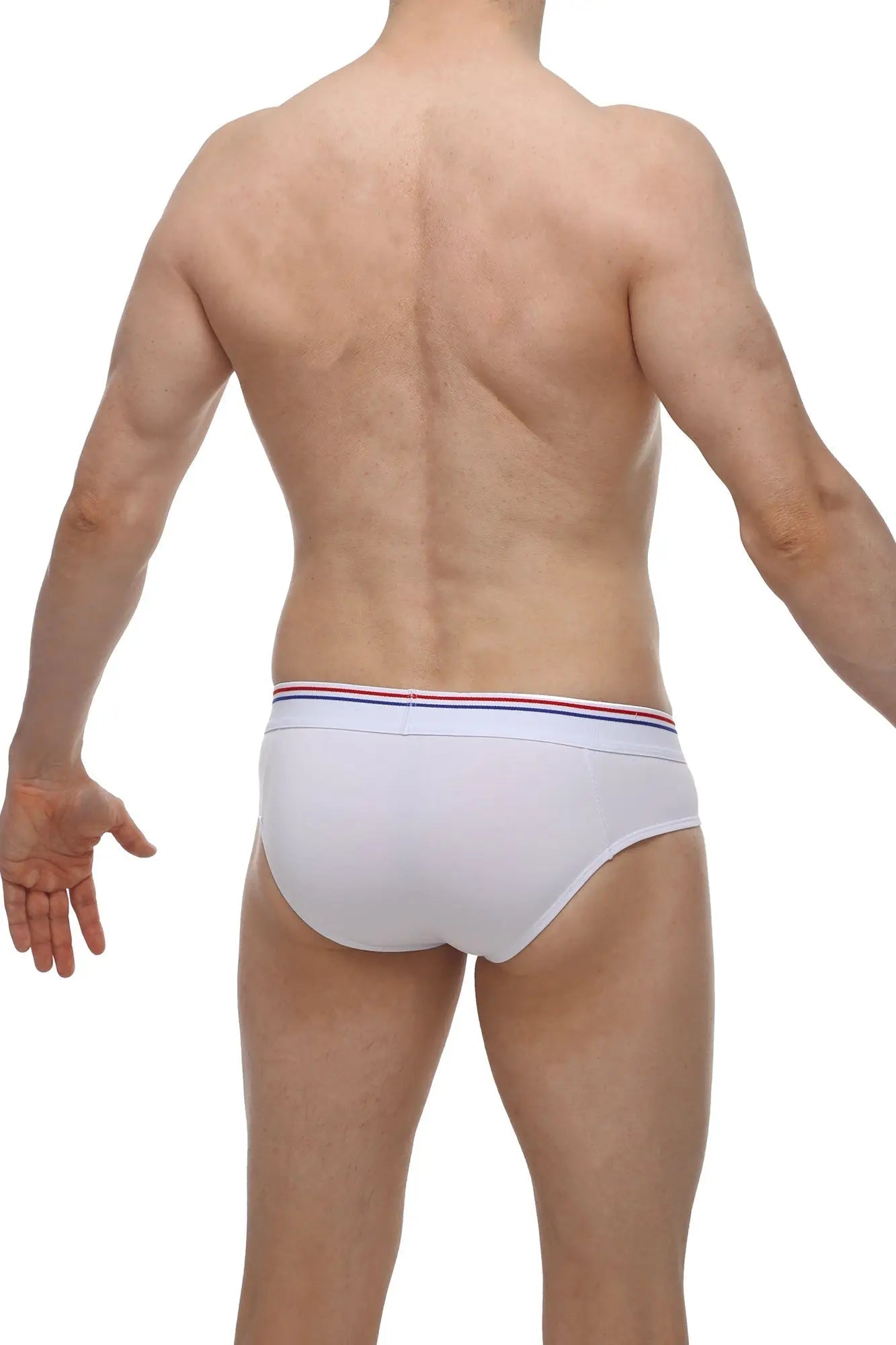 Petitq brief banne white white briefs with red white and blue striped waistband for comfortable everyday wear
