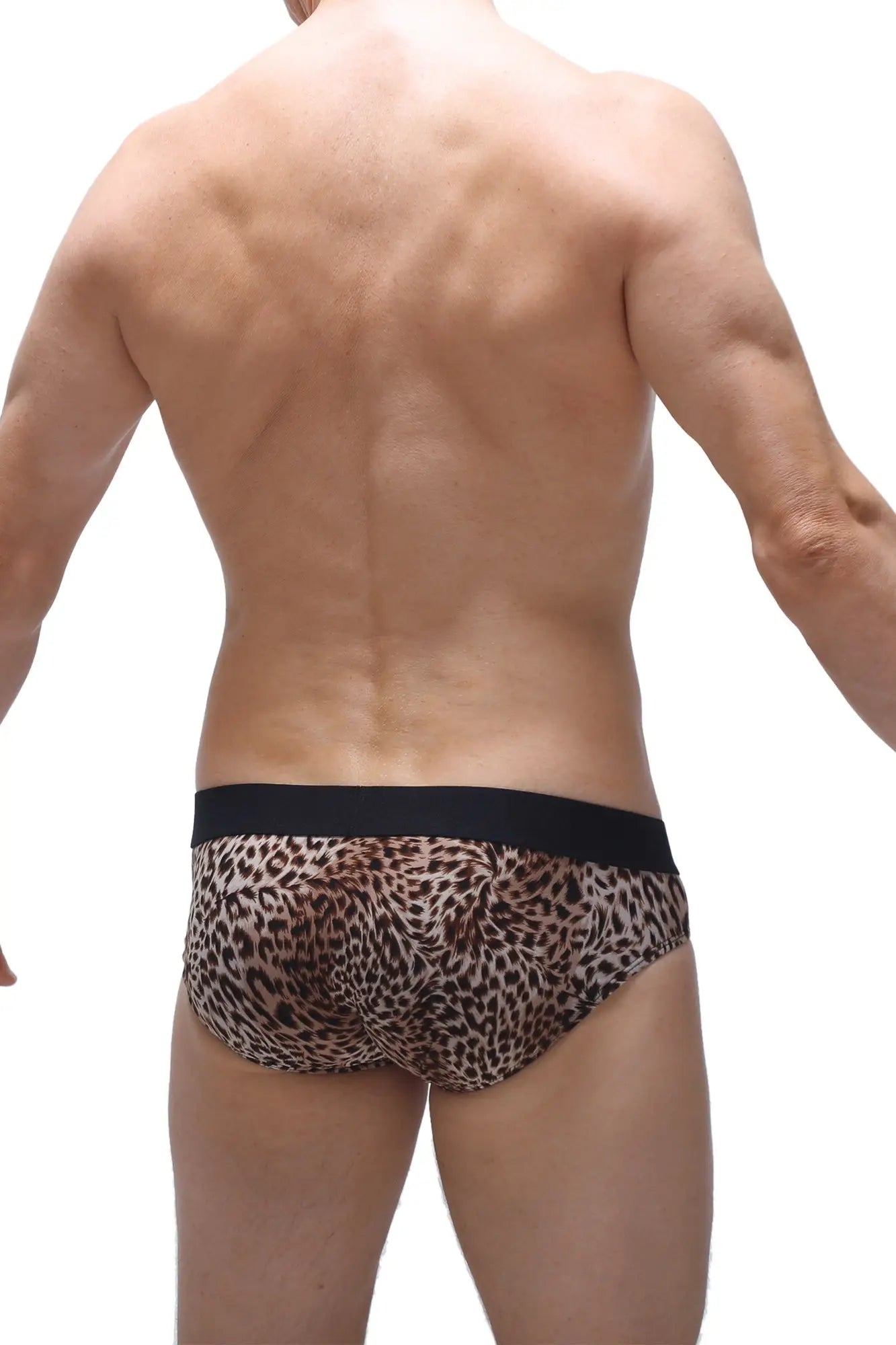 Petitq brief neure panthere leopard-print briefs with black elastic waistband for comfortable everyday wear