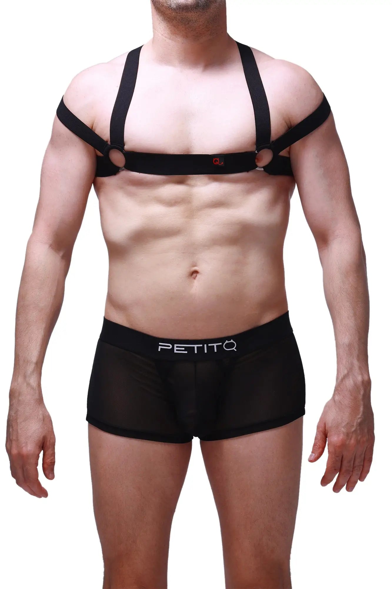 Black mesh briefs with petitq branded waistband featured in petitq chest harness louens black product image