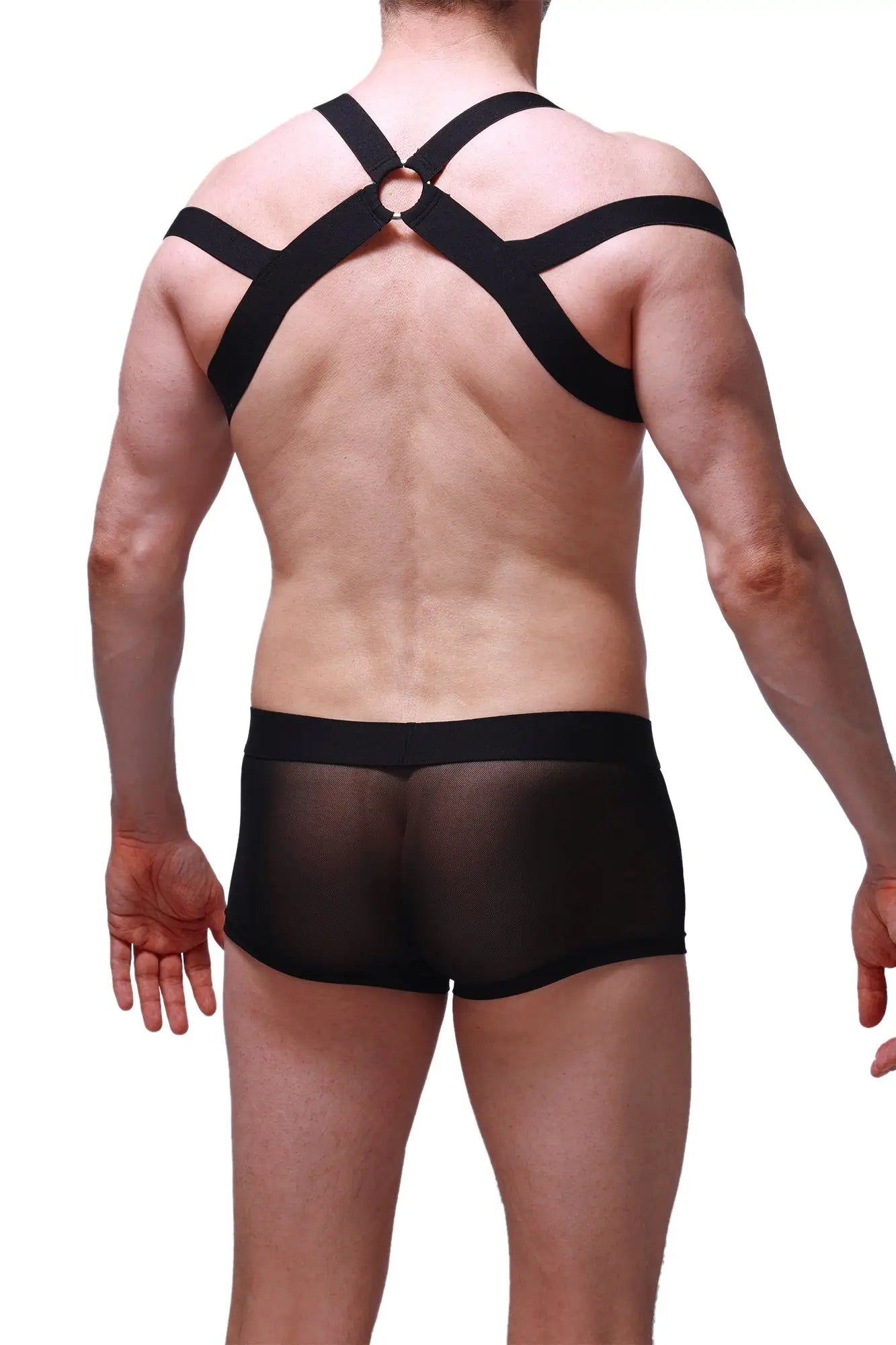 Black sheer mesh briefs with matching black cross back harness straps shown from the back petitq chest harness louens black