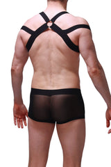 Black sheer mesh briefs with matching black cross back harness straps shown from the back petitq chest harness louens black