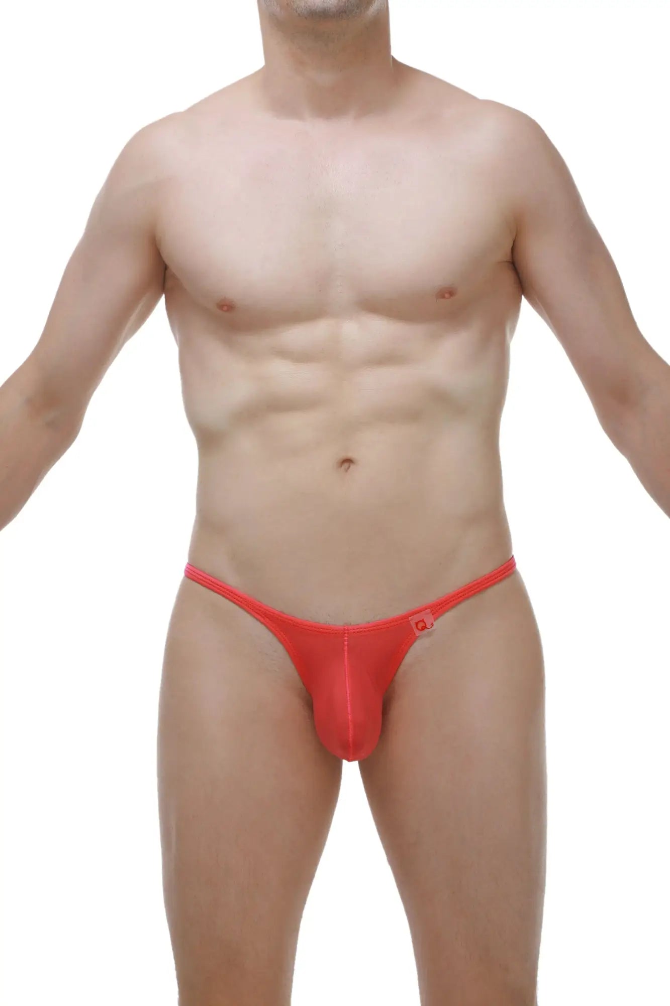 Bright red sheer mesh thong petitq cernier plum crimson with small logo on right hipband back side view