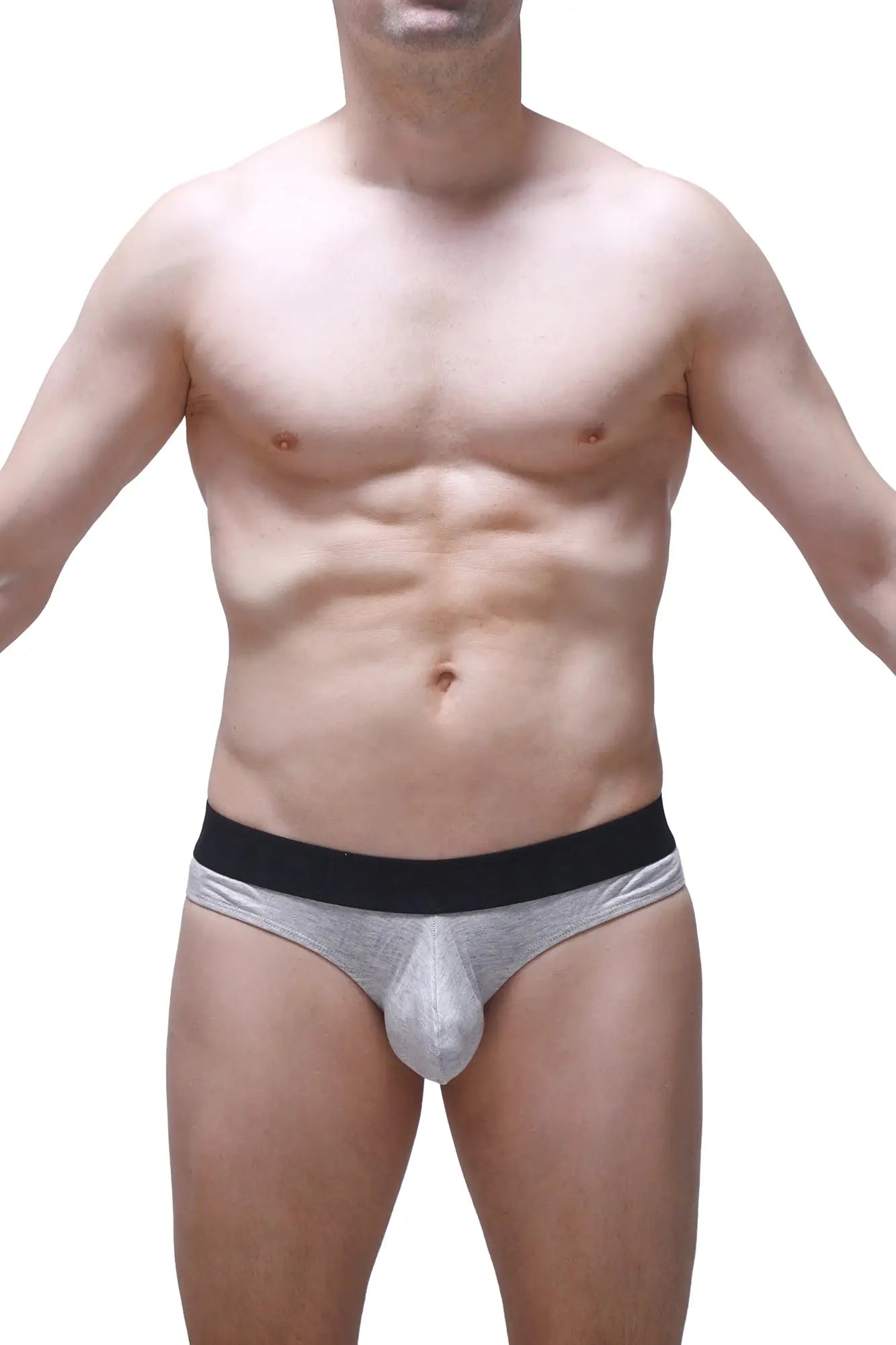 Petitq thong dome modal grey metallic briefs with black elastic waistband in silver metallic fabric