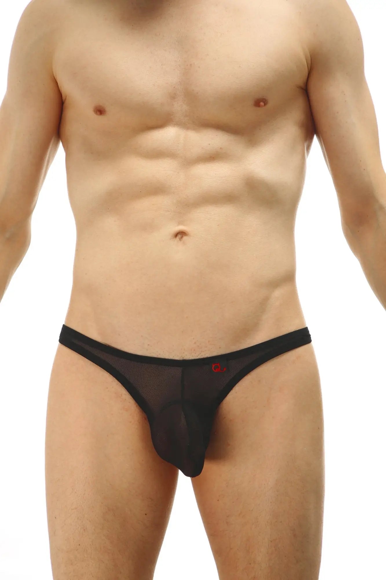 Black sheer mesh thong with small red petitq logo on waistband shown from the back in the thong lasso cockring net design