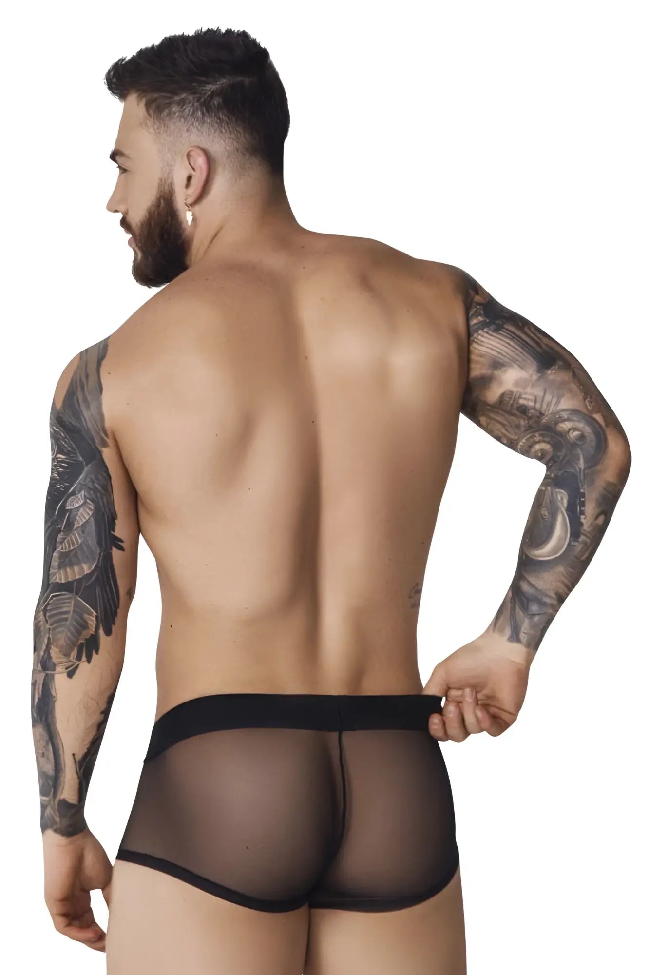 Black sheer mesh briefs with solid black waistband pikante PIK 1090 burly mesh trunks front view