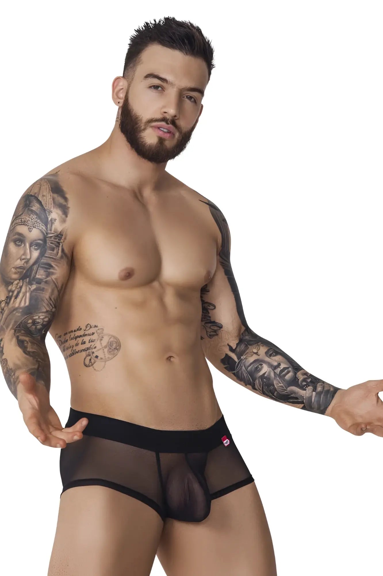Black sheer mesh briefs with solid black waistband and red logo on side from pikante pik 1090 burly mesh trunks