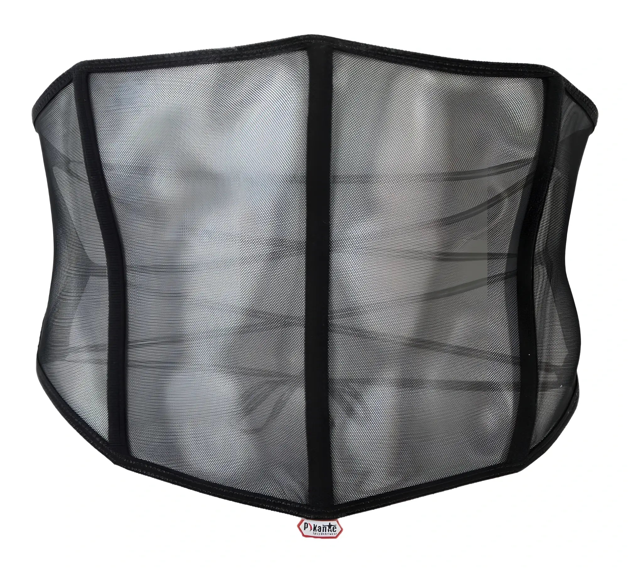 Black mesh pikante pik 1288 mutek corset with reinforced vertical seams and subtle sheen