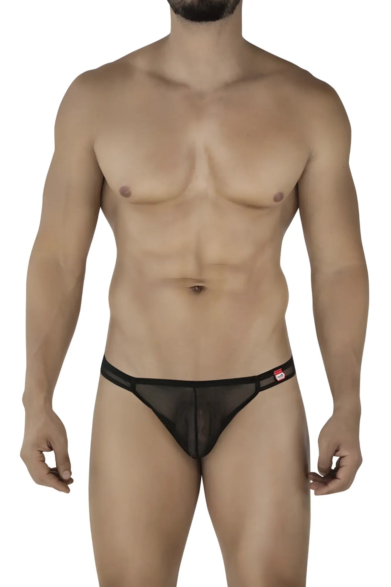 Black sheer mesh briefs with solid waistband and red logo tag from pikante PIK 2115 amusing thongs in black