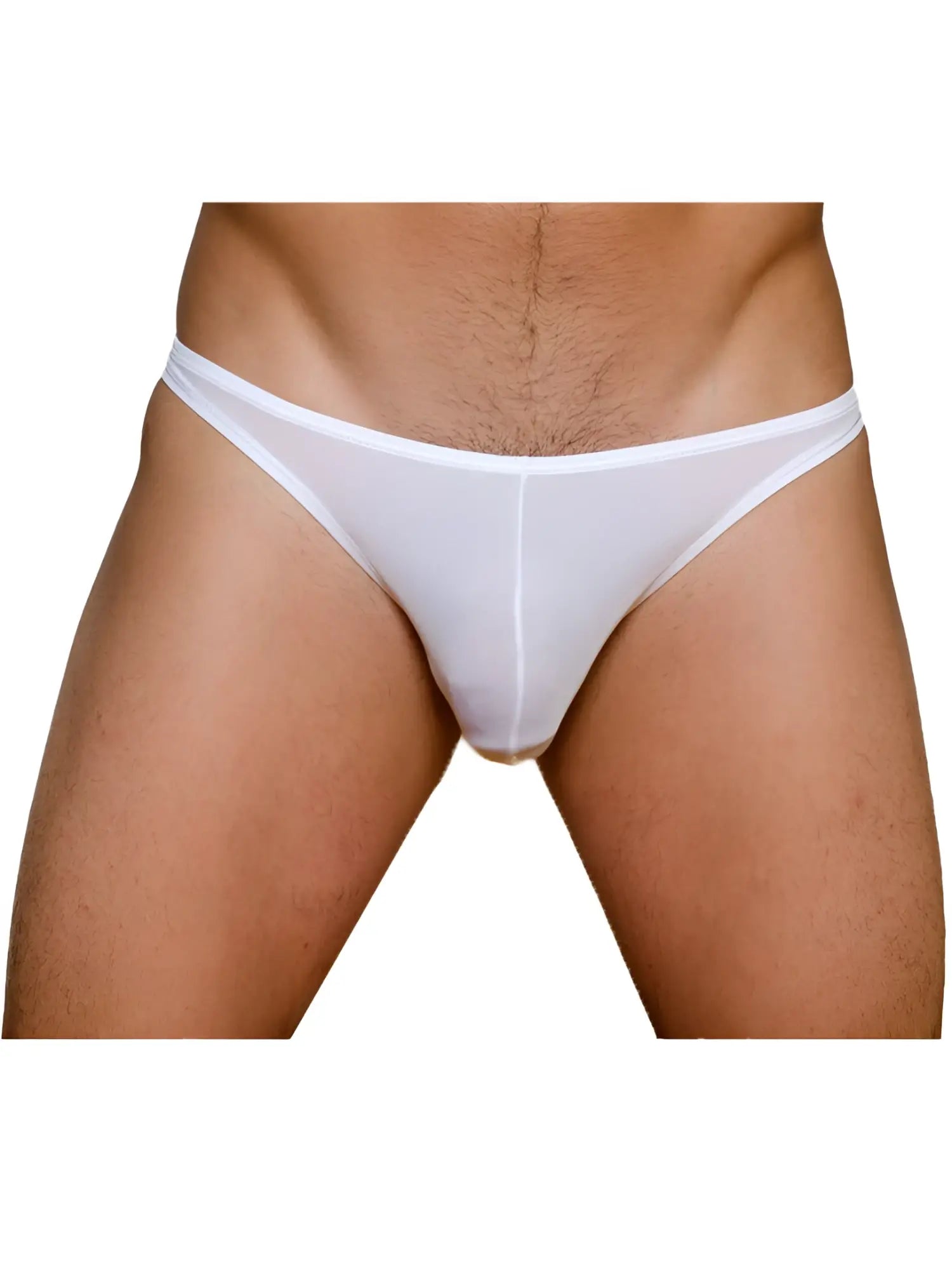 White sheer mesh briefs with narrow waistband and minimal coverage in the pride metro rio bikini 3-pack