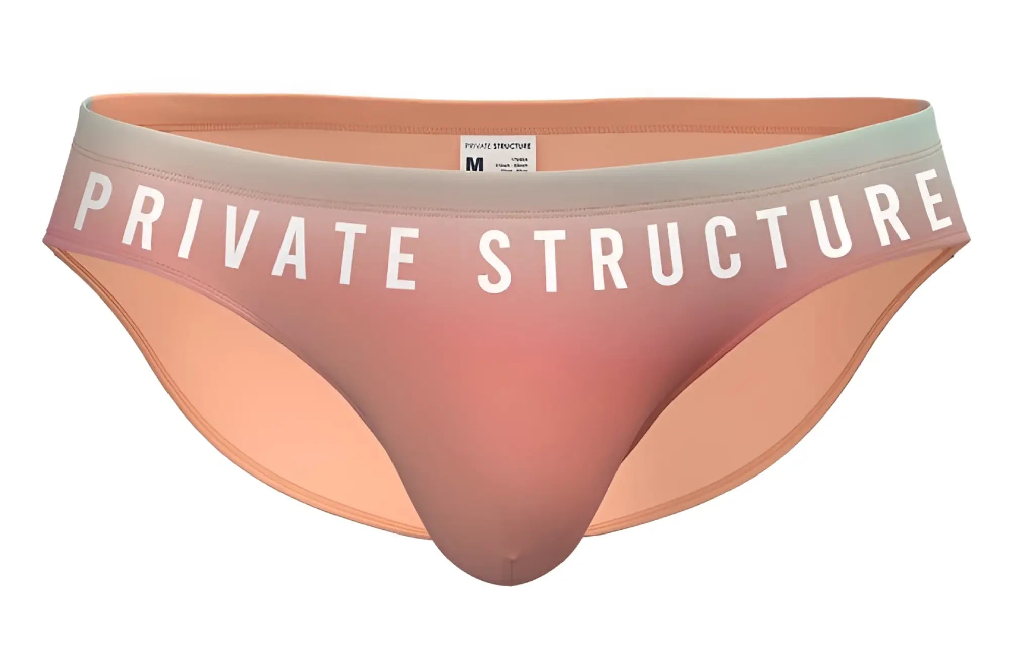 Peach-colored sheer mesh brief with a white private structure logo waistband from the bare bikini orange collection