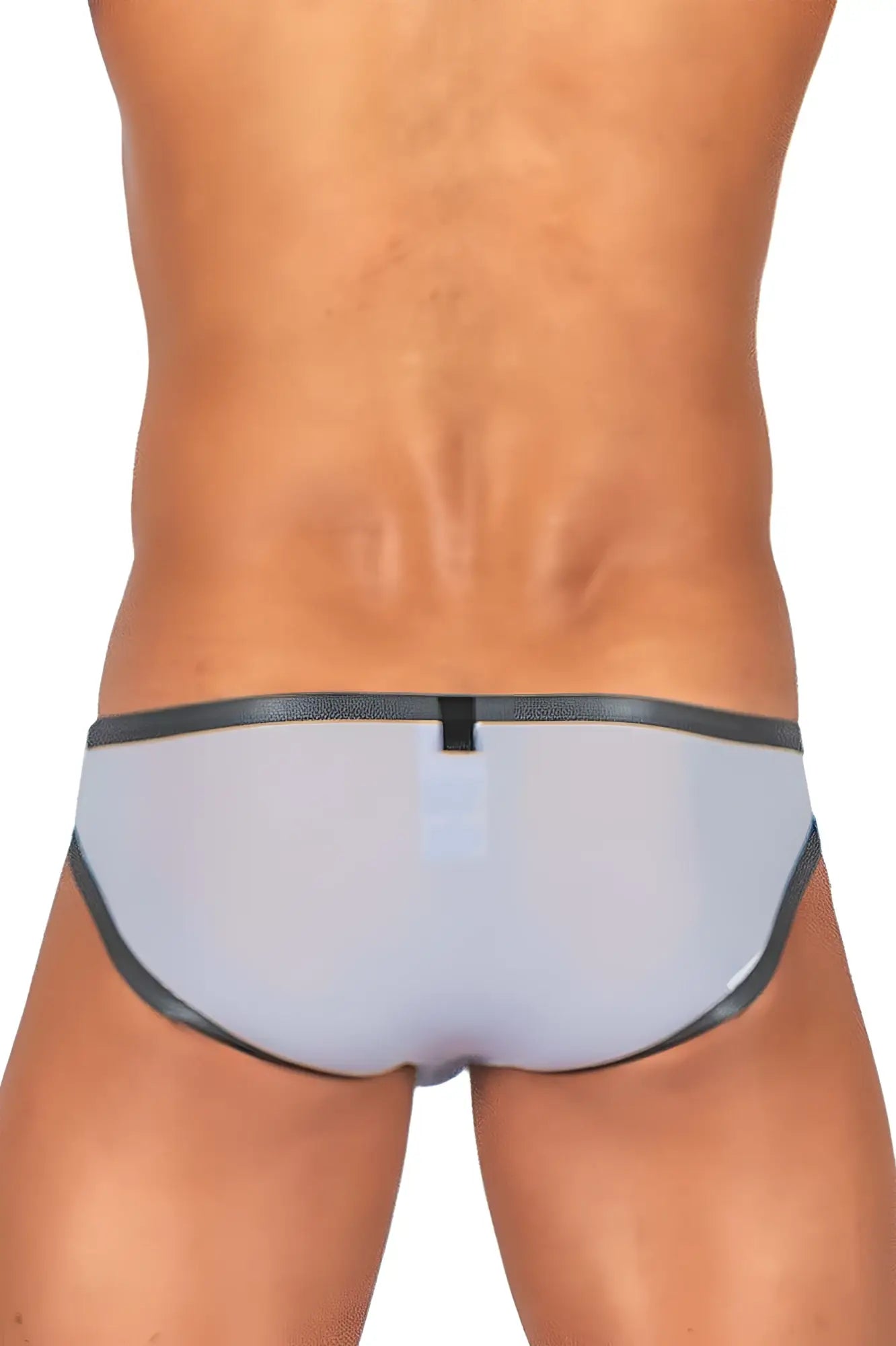 Gray translucent briefs with black trim and central tab from Private Structure BRUT4393 Bare Bikini in lilac color